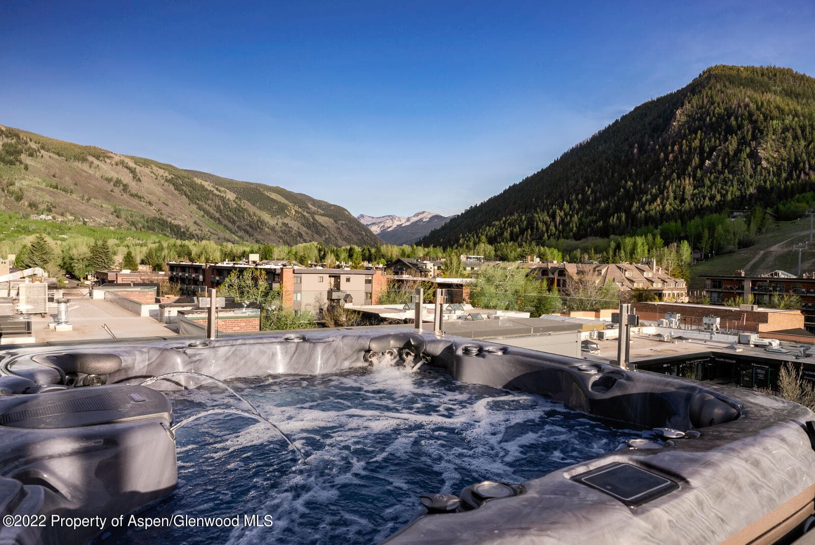 508 E Cooper Avenue Unit 201, Aspen, CO 81611 - Photo 44
