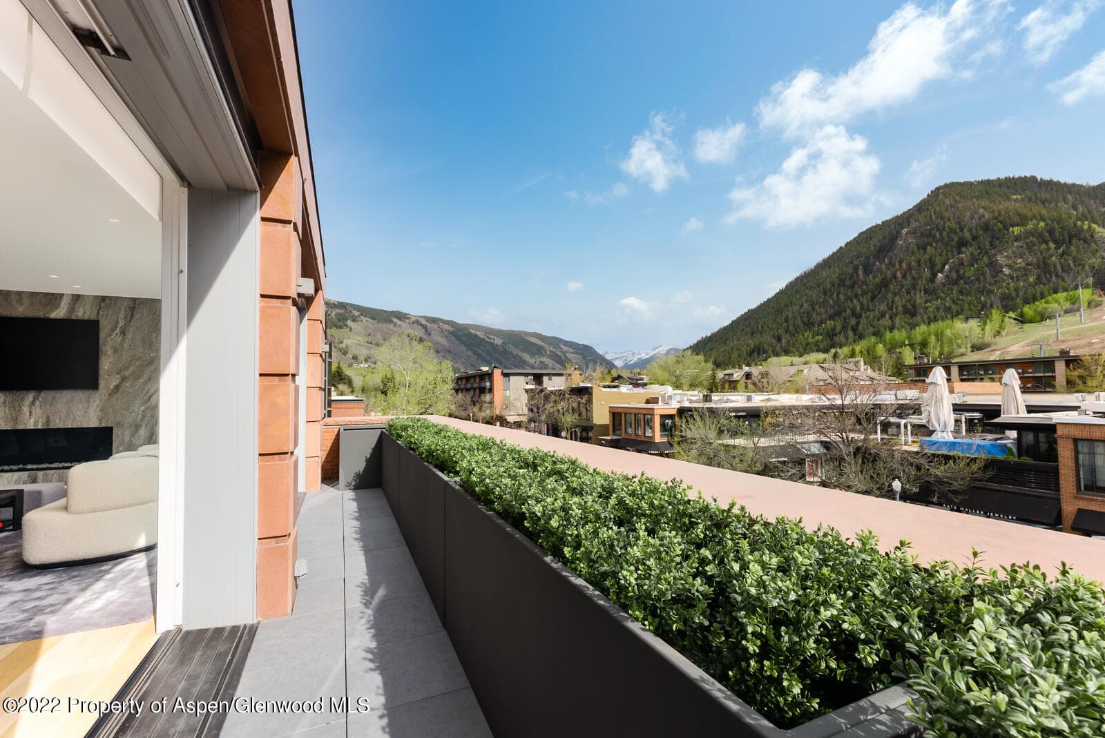 508 E Cooper Avenue Unit 201, Aspen, CO 81611 - Photo 50