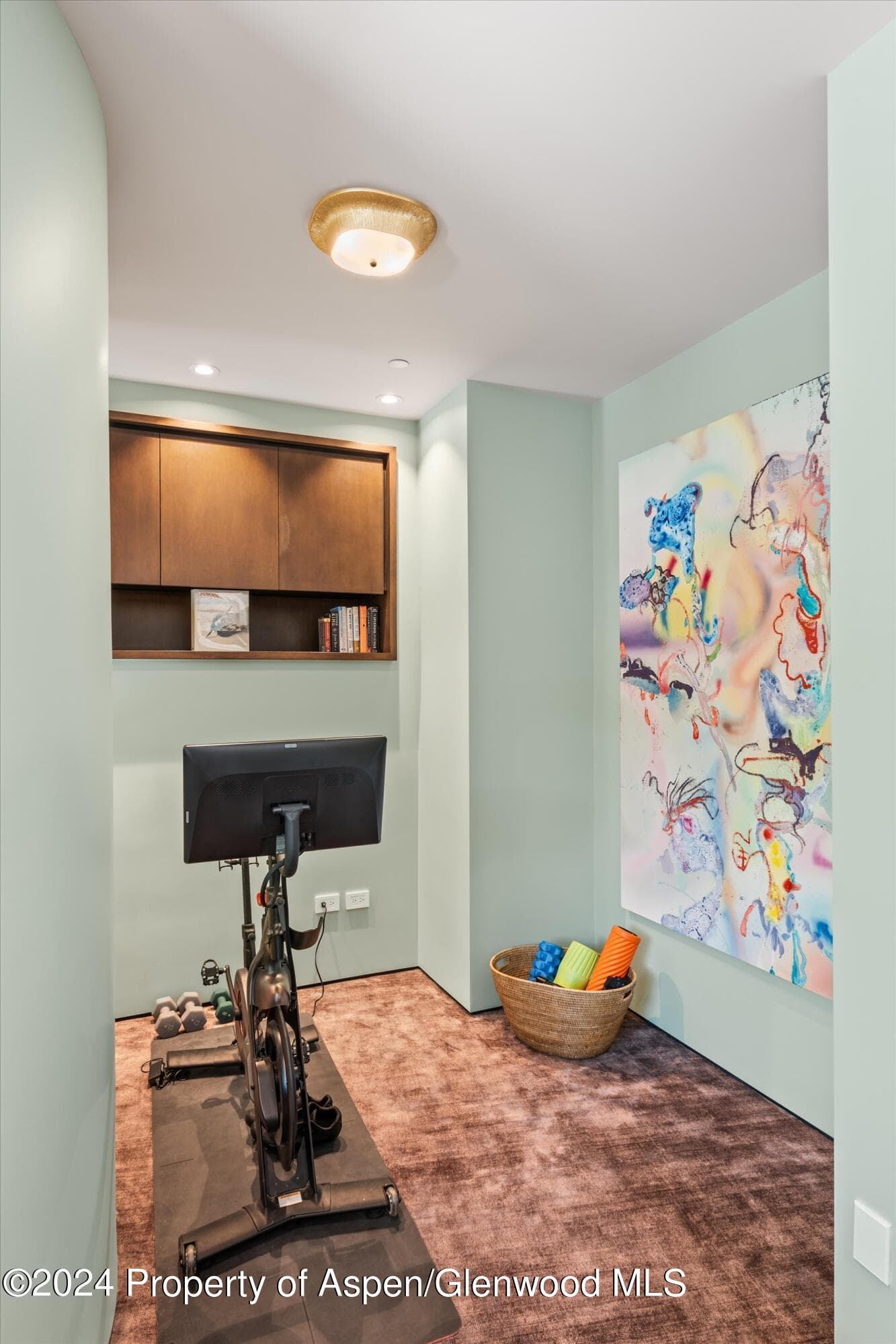 701 Gibson Avenue, Aspen, CO 81611 - Photo 21