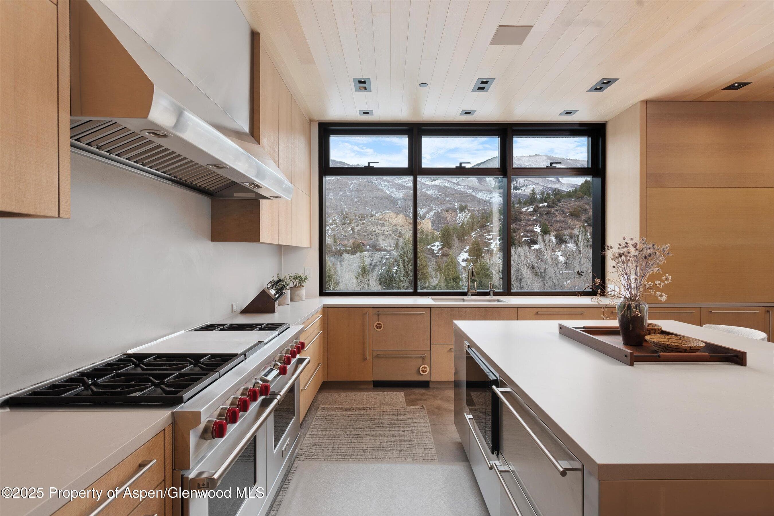 276 Coach Road, Aspen, CO 81611 - Photo 11
