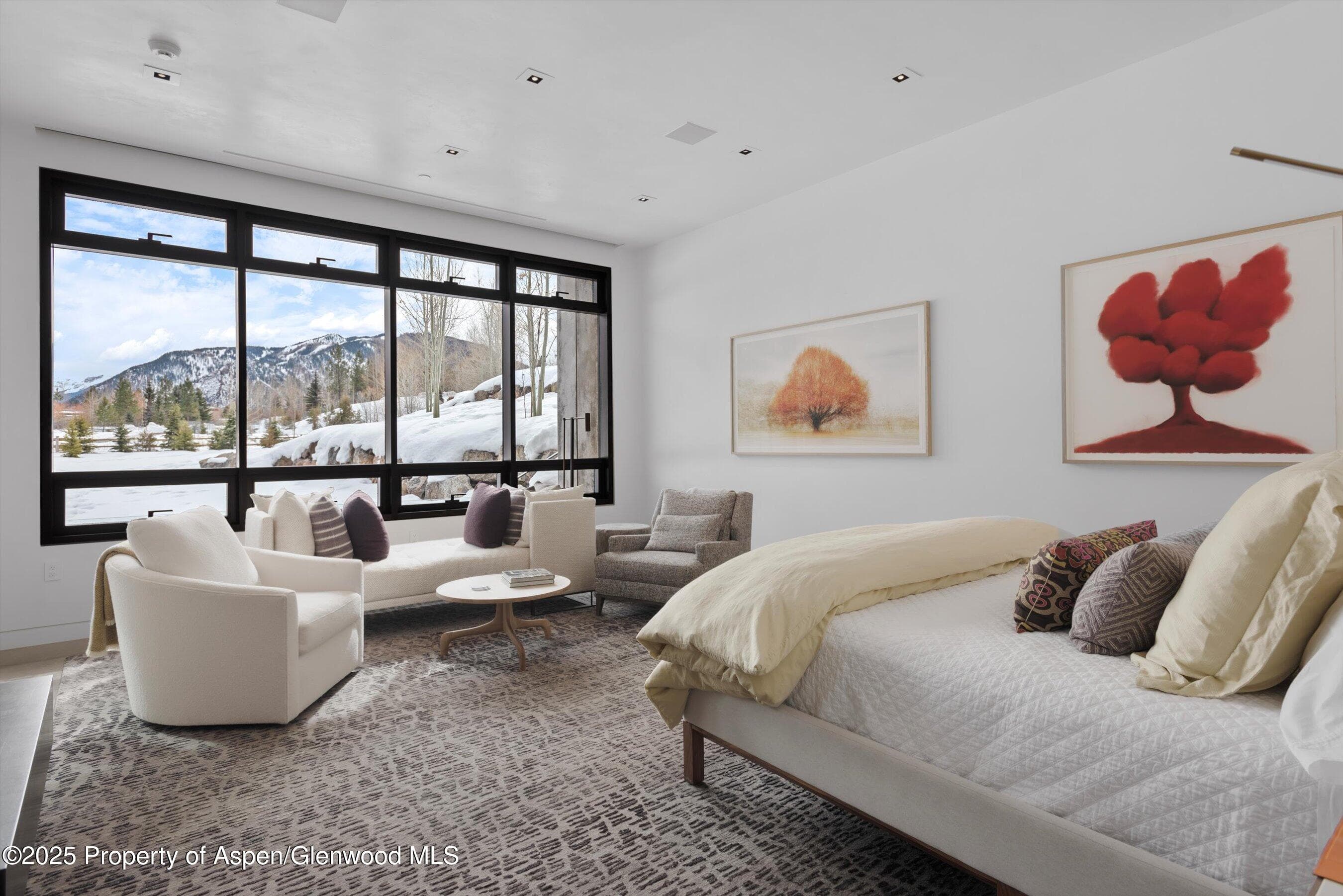 276 Coach Road, Aspen, CO 81611 - Photo 18