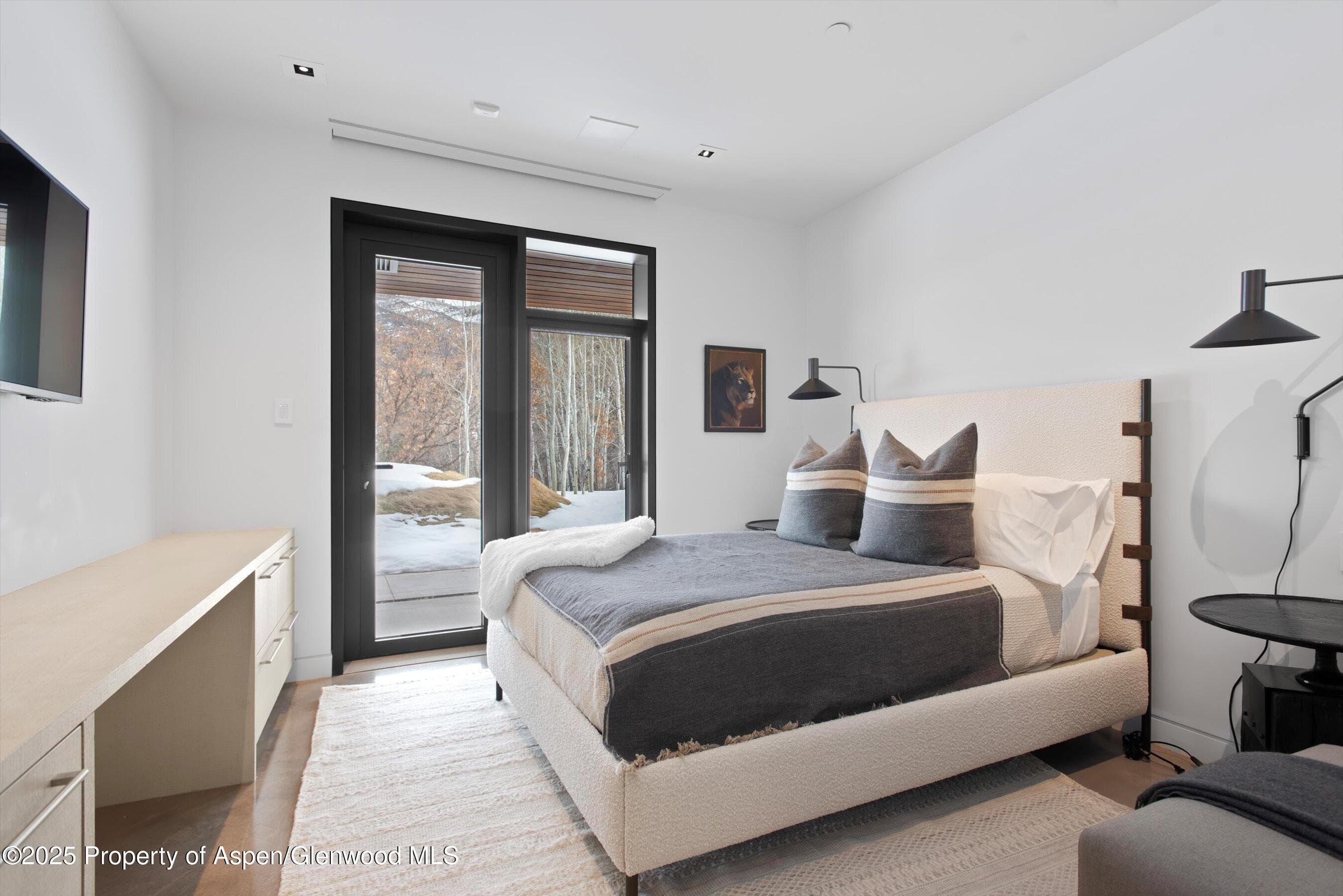 276 Coach Road, Aspen, CO 81611 - Photo 38