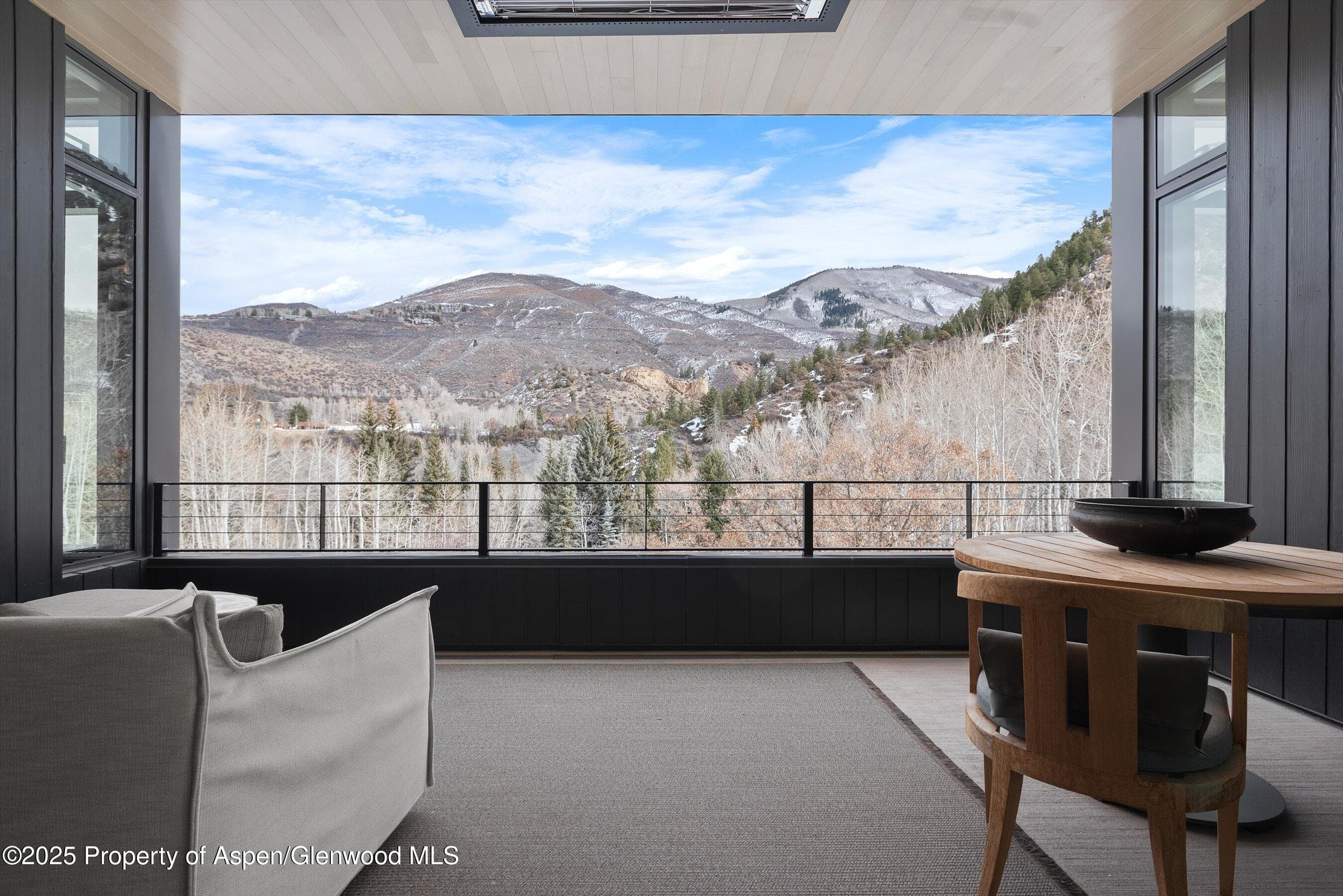 276 Coach Road, Aspen, CO 81611 - Photo 45