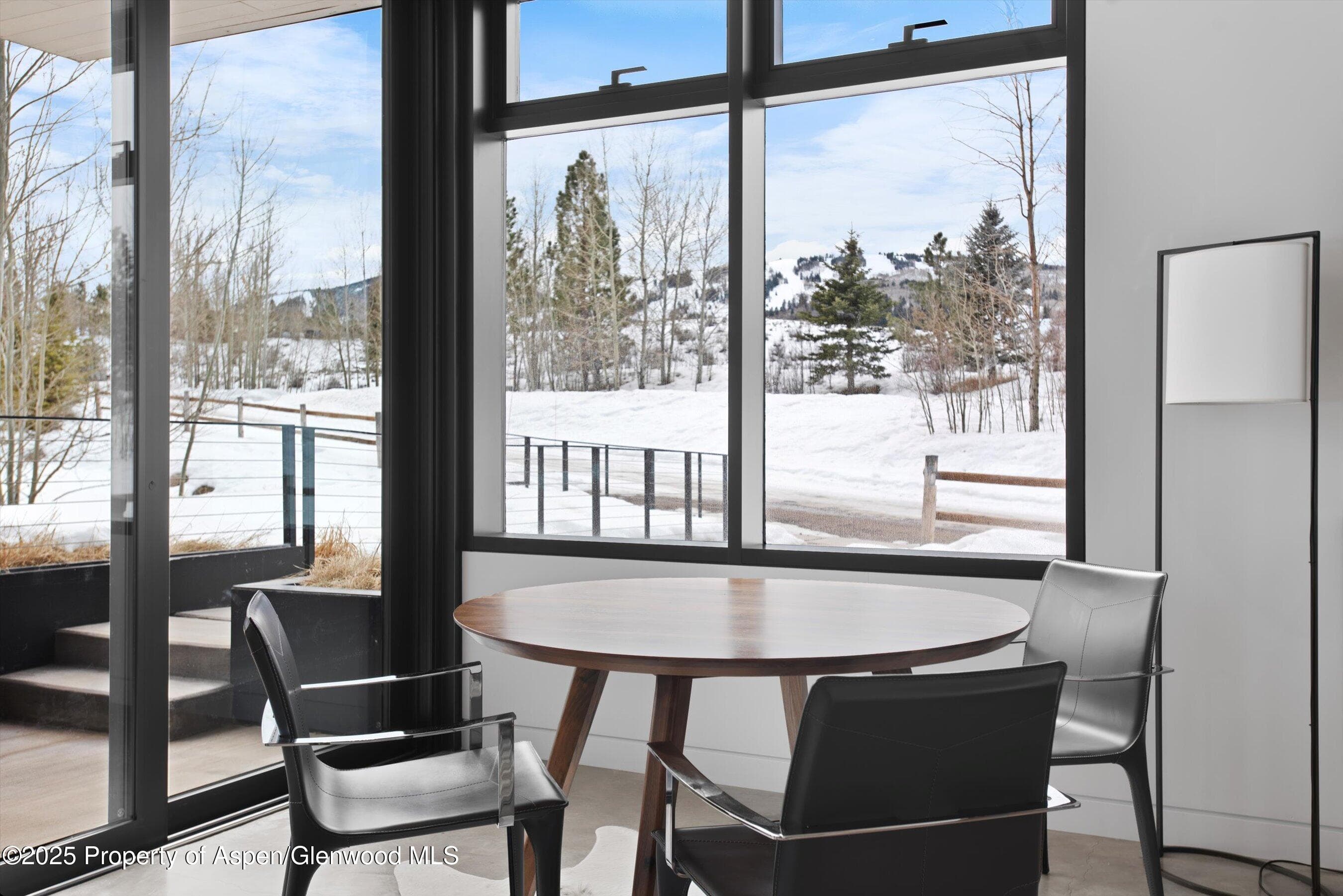 276 Coach Road, Aspen, CO 81611 - Photo 49