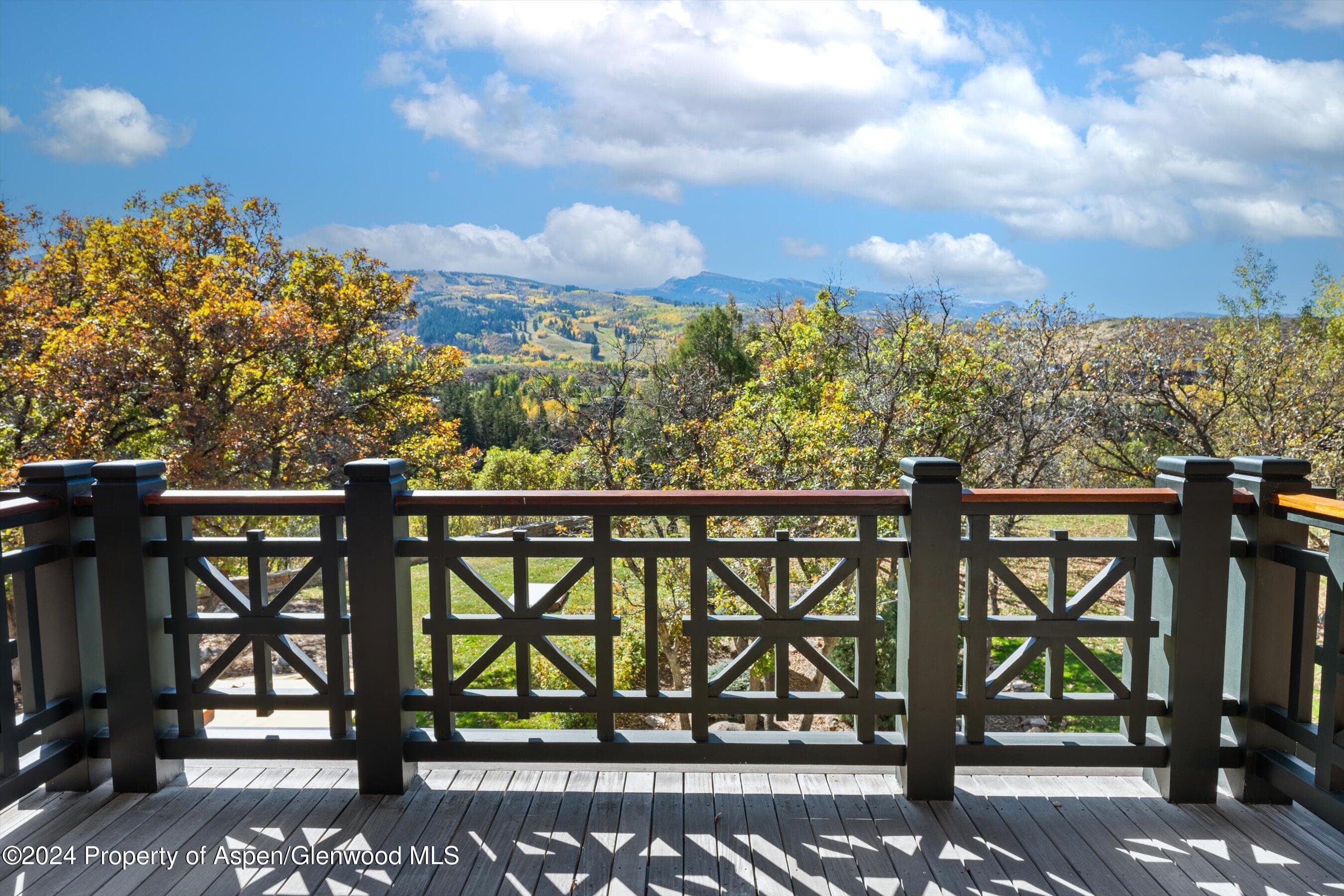 200 Jalanda Lane, Aspen, CO 81611 - Photo 27