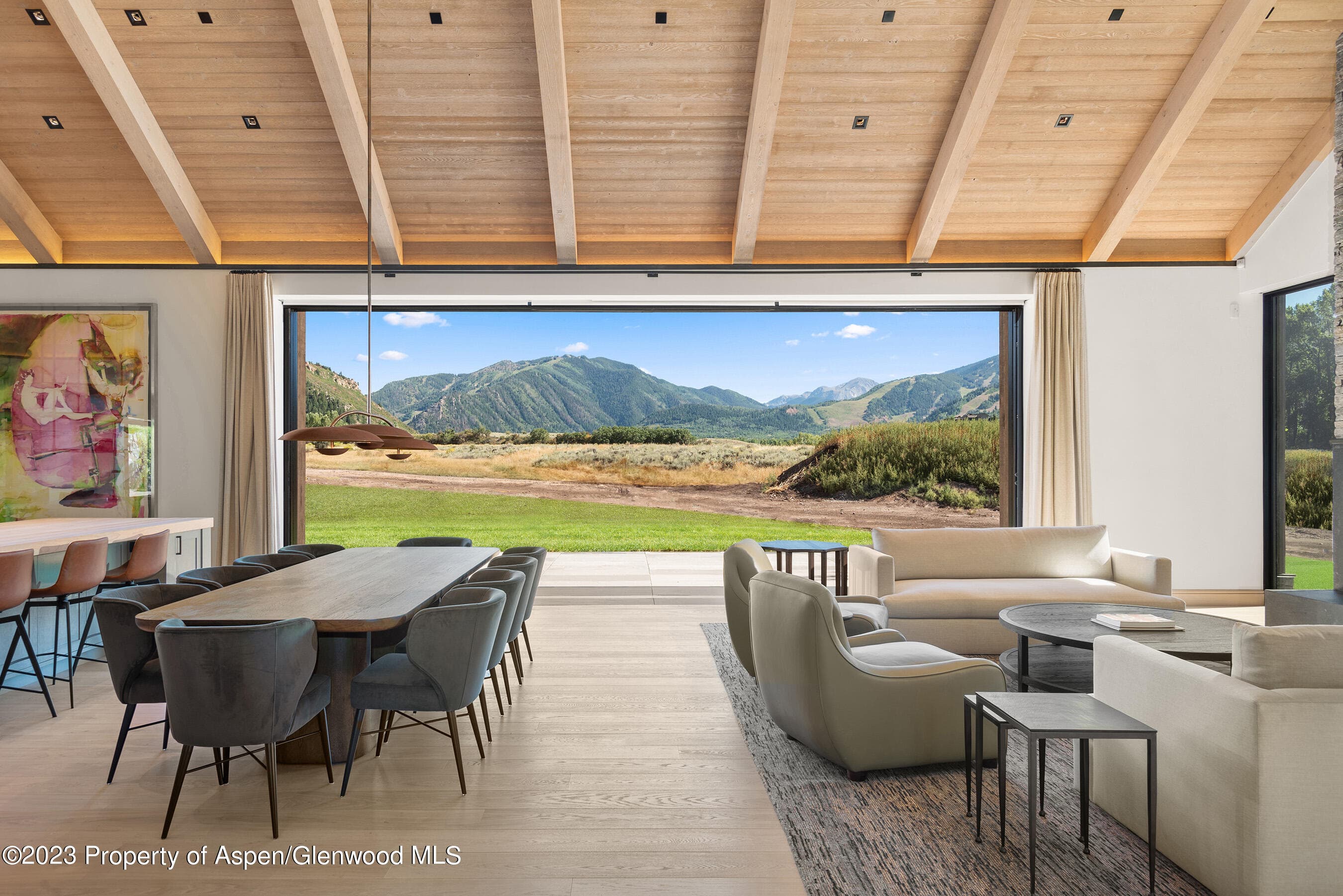 245 Slalom Path, Aspen, CO 81611 - Photo 12