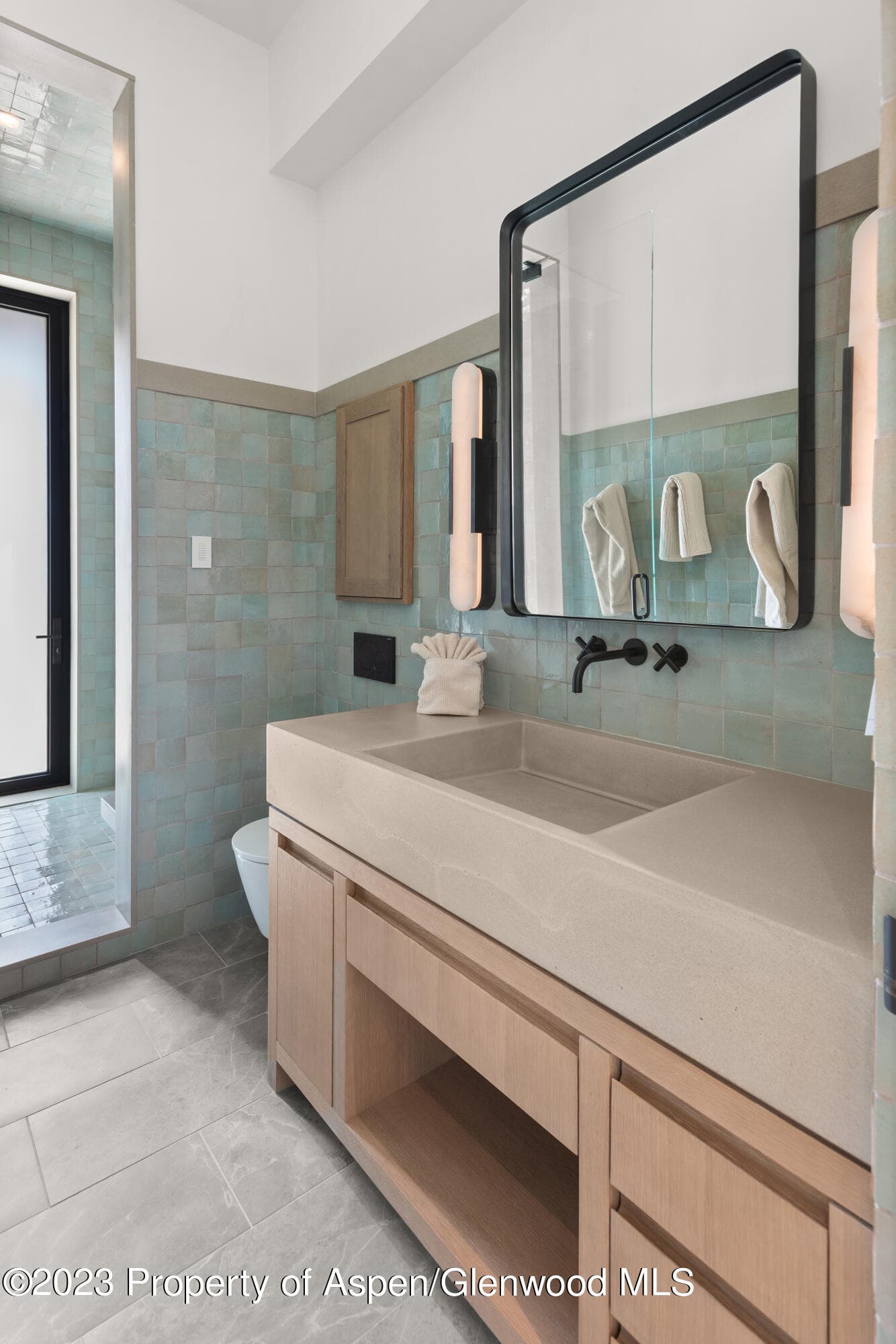 245 Slalom Path, Aspen, CO 81611 - Photo 29