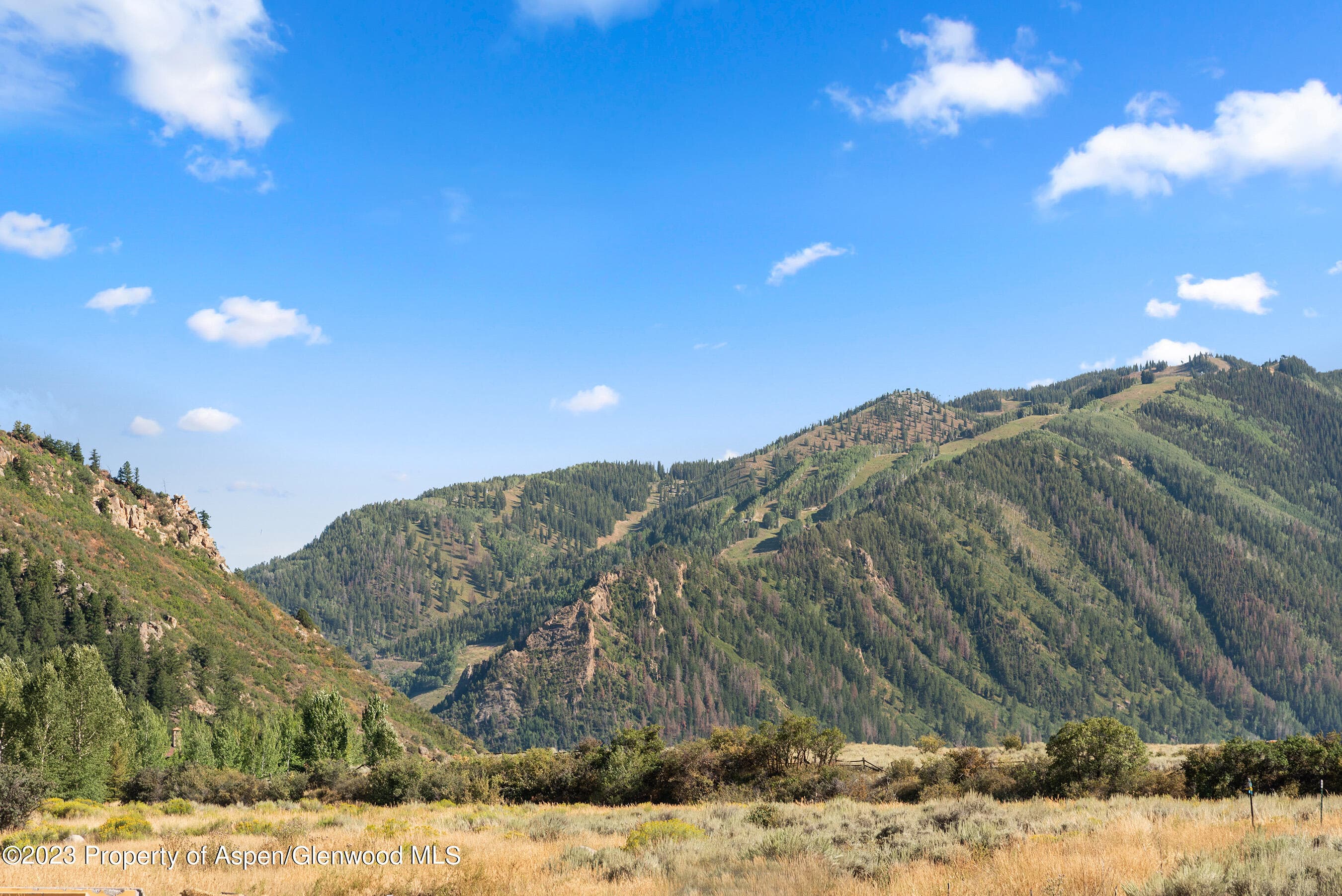 245 Slalom Path, Aspen, CO 81611 - Photo 34
