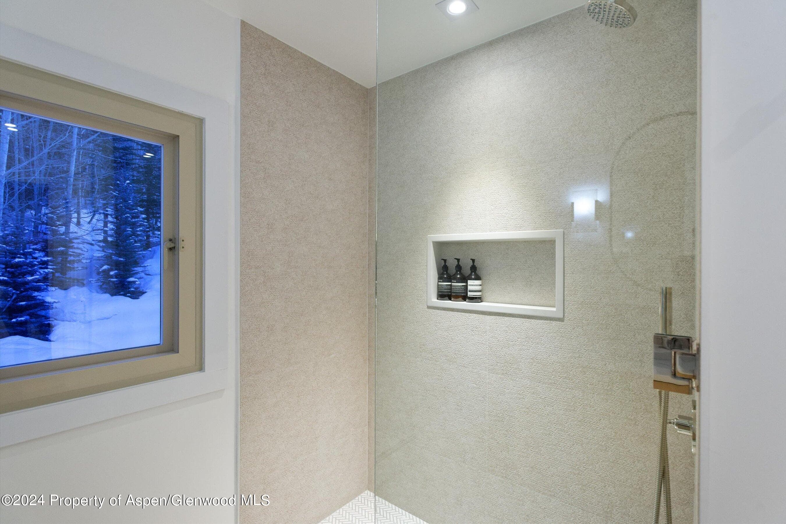 123 Larkspur Lane, Aspen, CO 81611 - Photo 25
