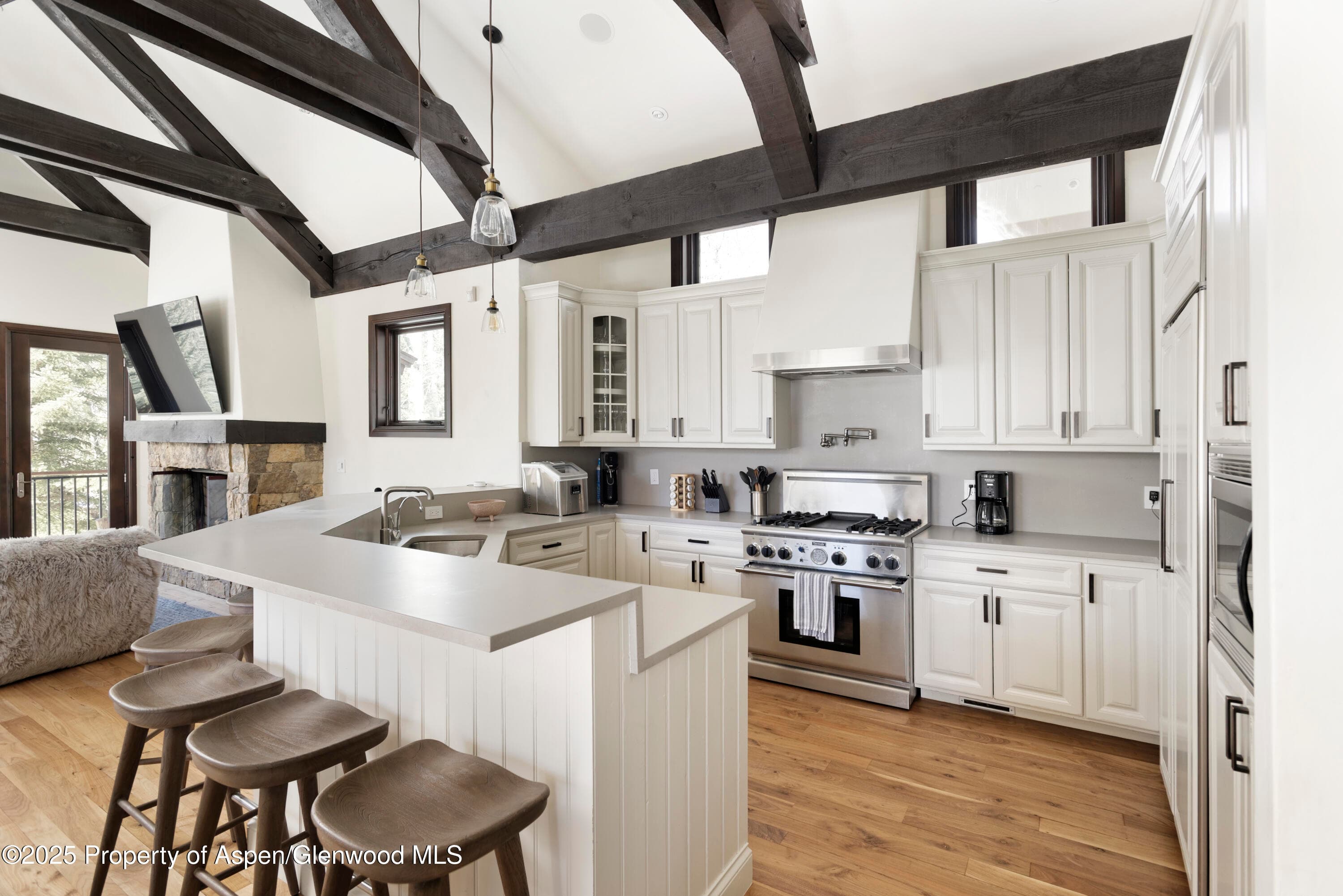 42553 Highway 82, Aspen, CO 81611 - Photo 5