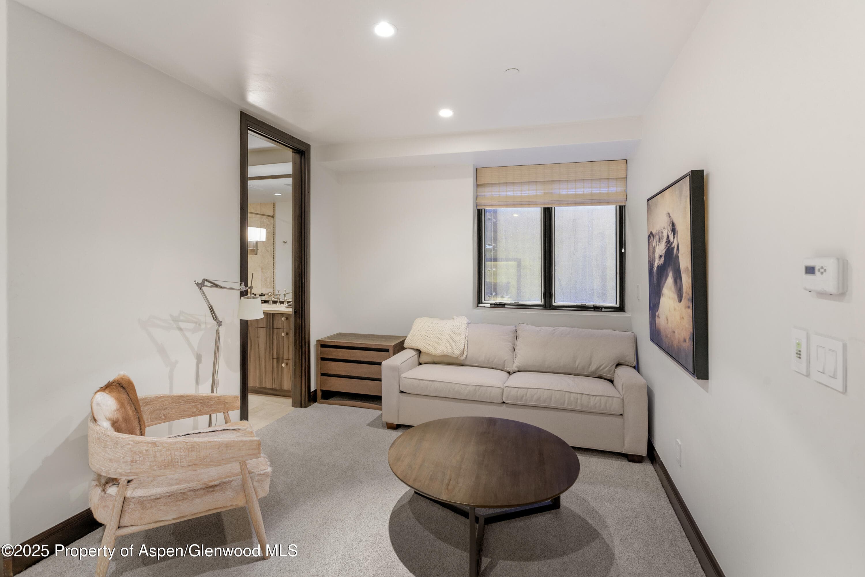 42553 Highway 82, Aspen, CO 81611 - Photo 22