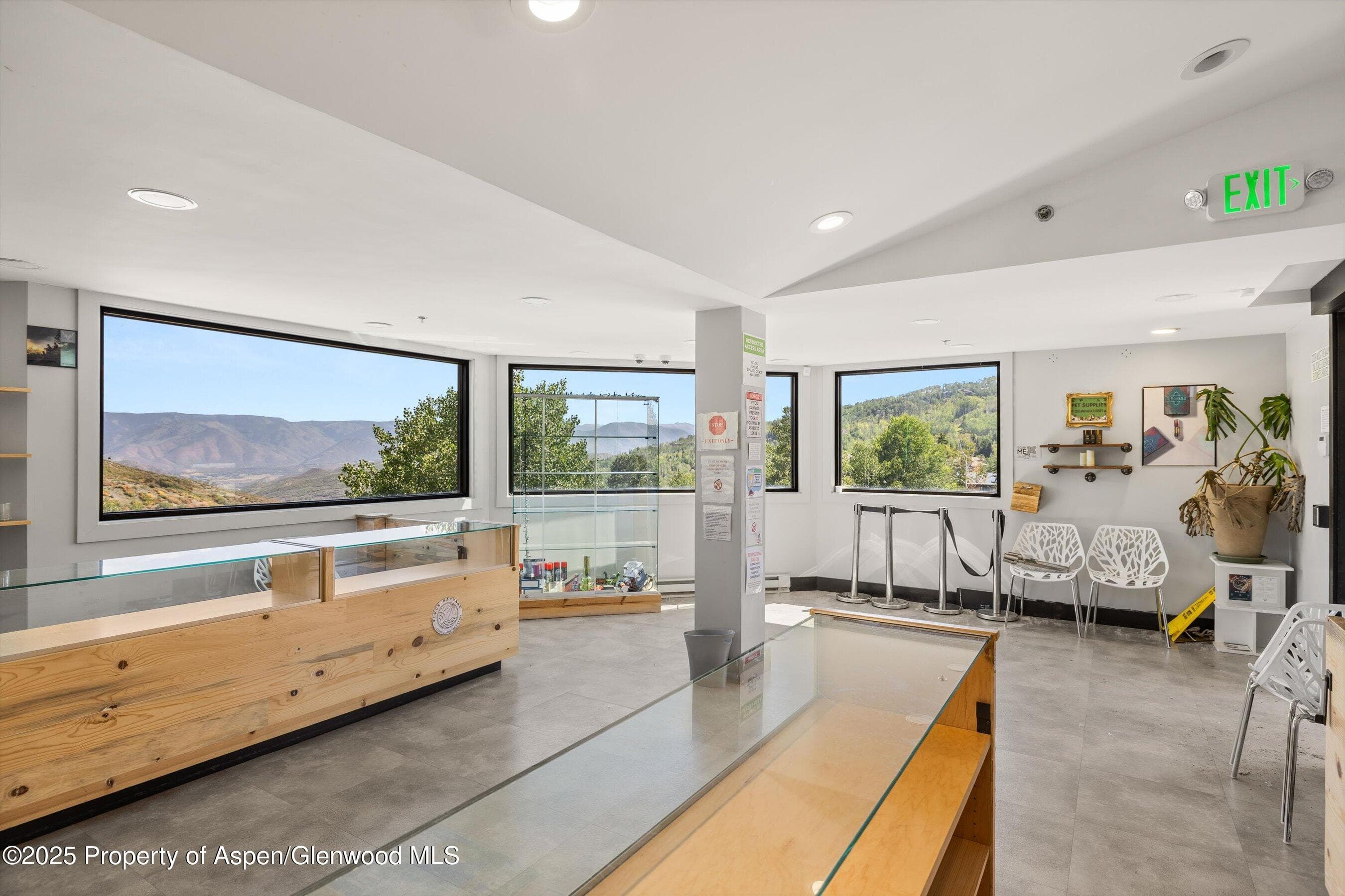 105 Daly Lane Unit 316, Snowmass Village, CO 81615 - Photo 8