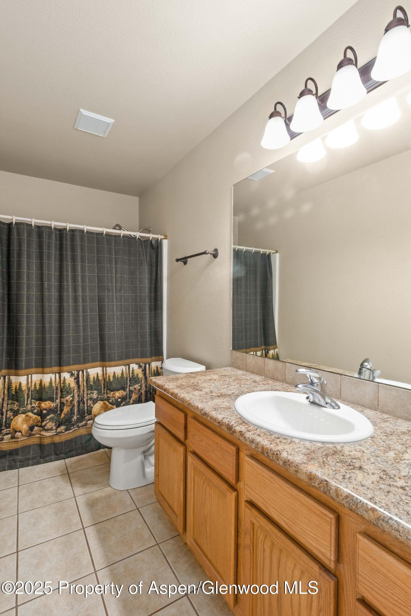 140 Anvil Lane, Parachute, CO 81635 - Photo 9