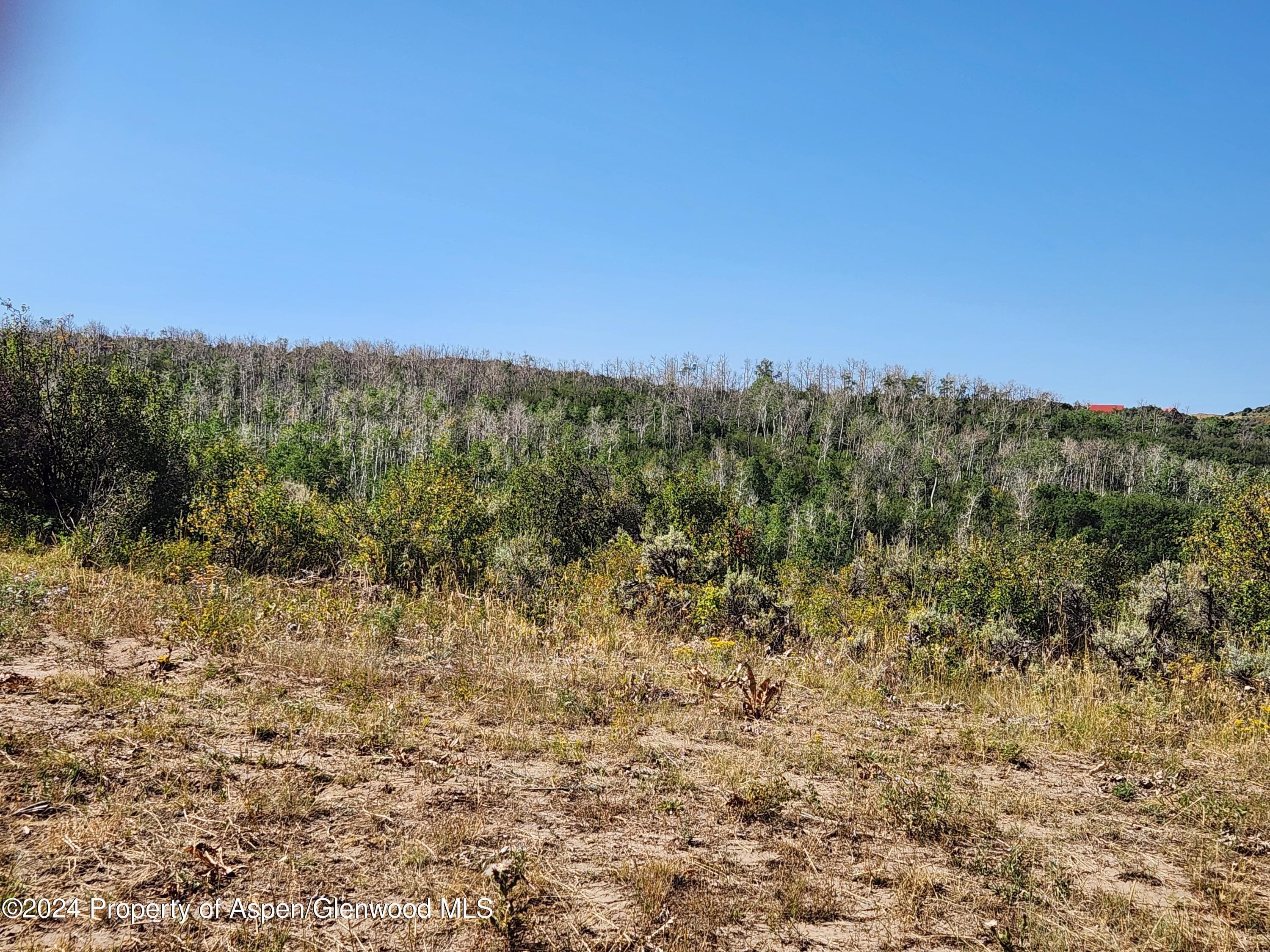 242 BOULDER Drive, Craig, CO 81625 - Photo 21