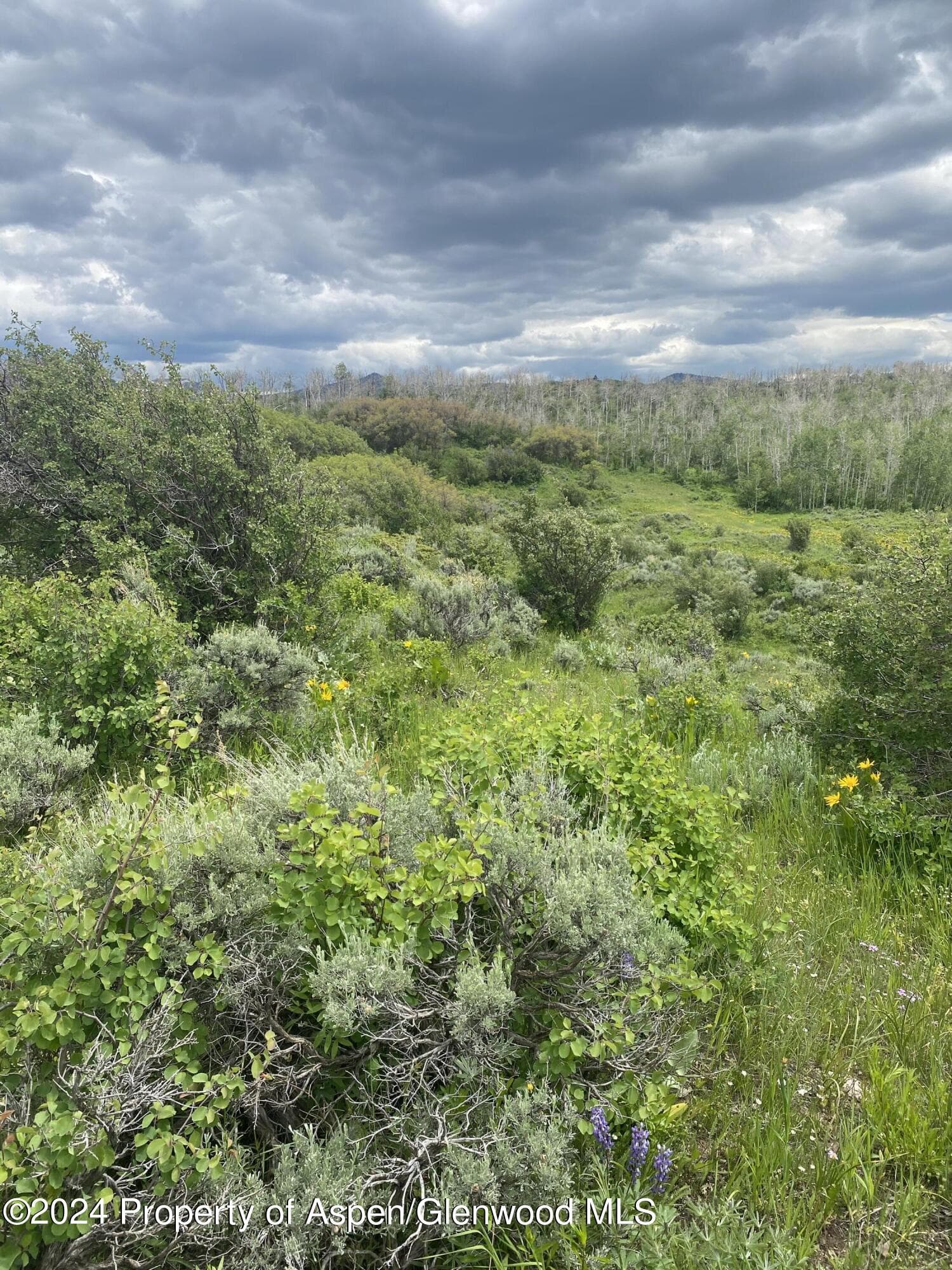 242 BOULDER Drive, Craig, CO 81625 - Photo 23