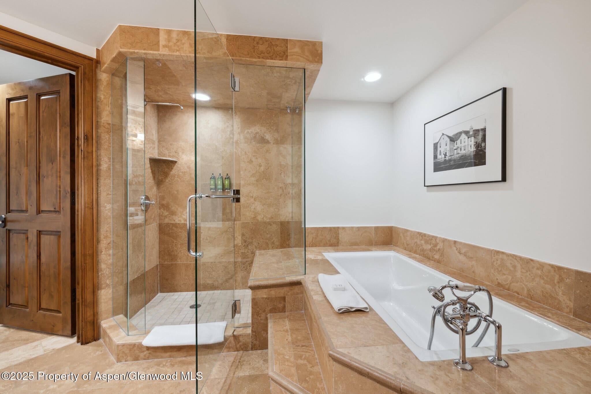 415 E Dean St, Unit 20, Week 33, Aspen, CO 81611 - Photo 22