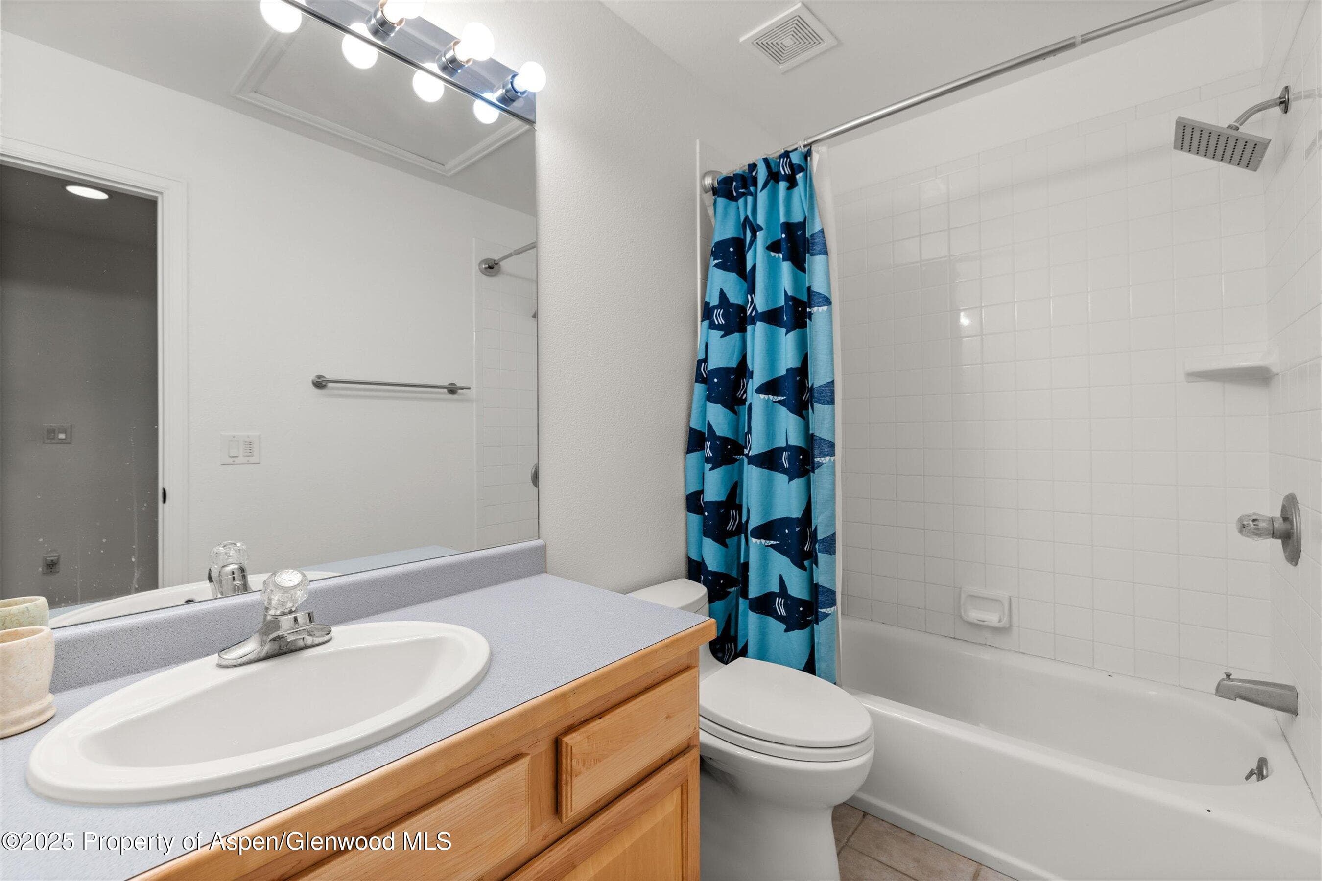 196 Dakota Meadows Drive, Carbondale, CO 81623 - Photo 17