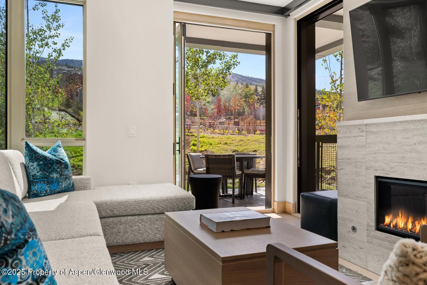 130 Wood Road 265-267, Snowmass Village, CO 81615 - Photo 3