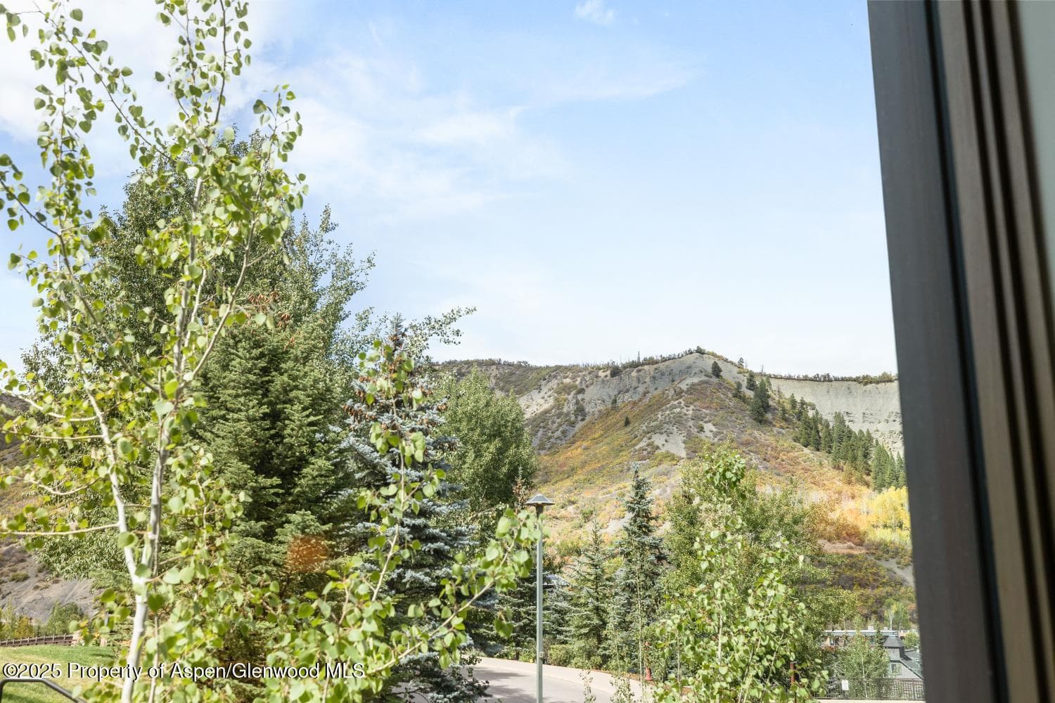 130 Wood Road 265-267, Snowmass Village, CO 81615 - Photo 14