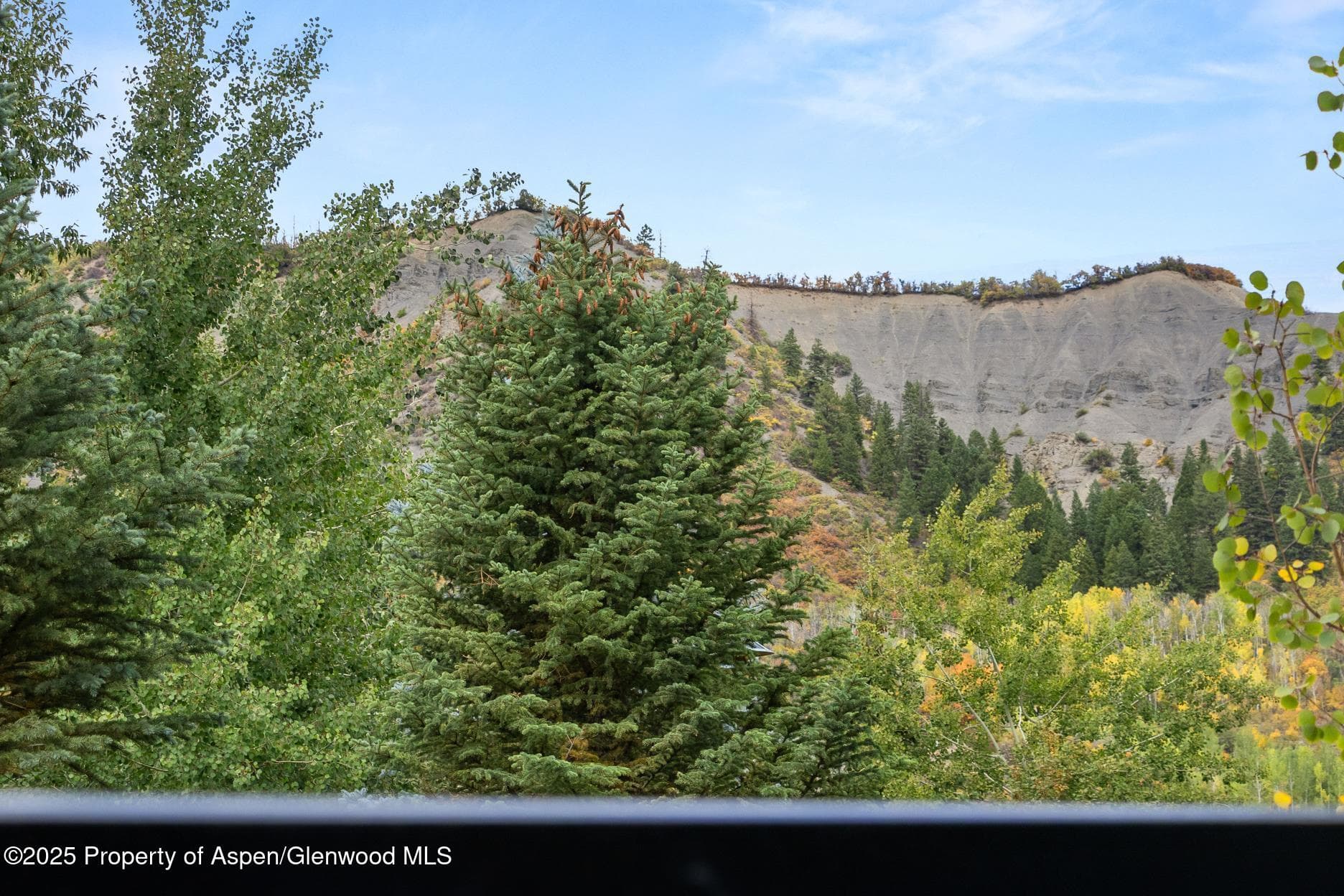 130 Wood Road 265-267, Snowmass Village, CO 81615 - Photo 48