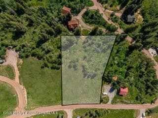 1239 McLaughlin Lane, Basalt, CO 81621 - Photo 6