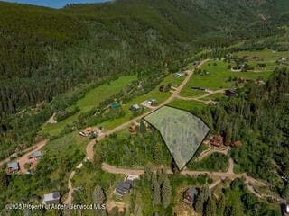 1239 McLaughlin Lane, Basalt, CO 81621 - Photo 8