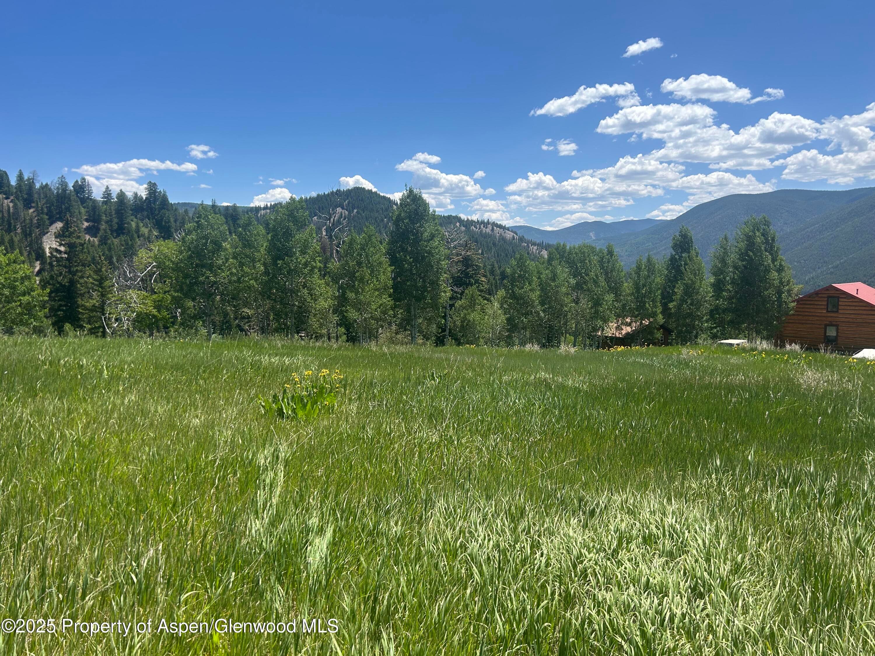 1239 McLaughlin Lane, Basalt, CO 81621 - Photo 11