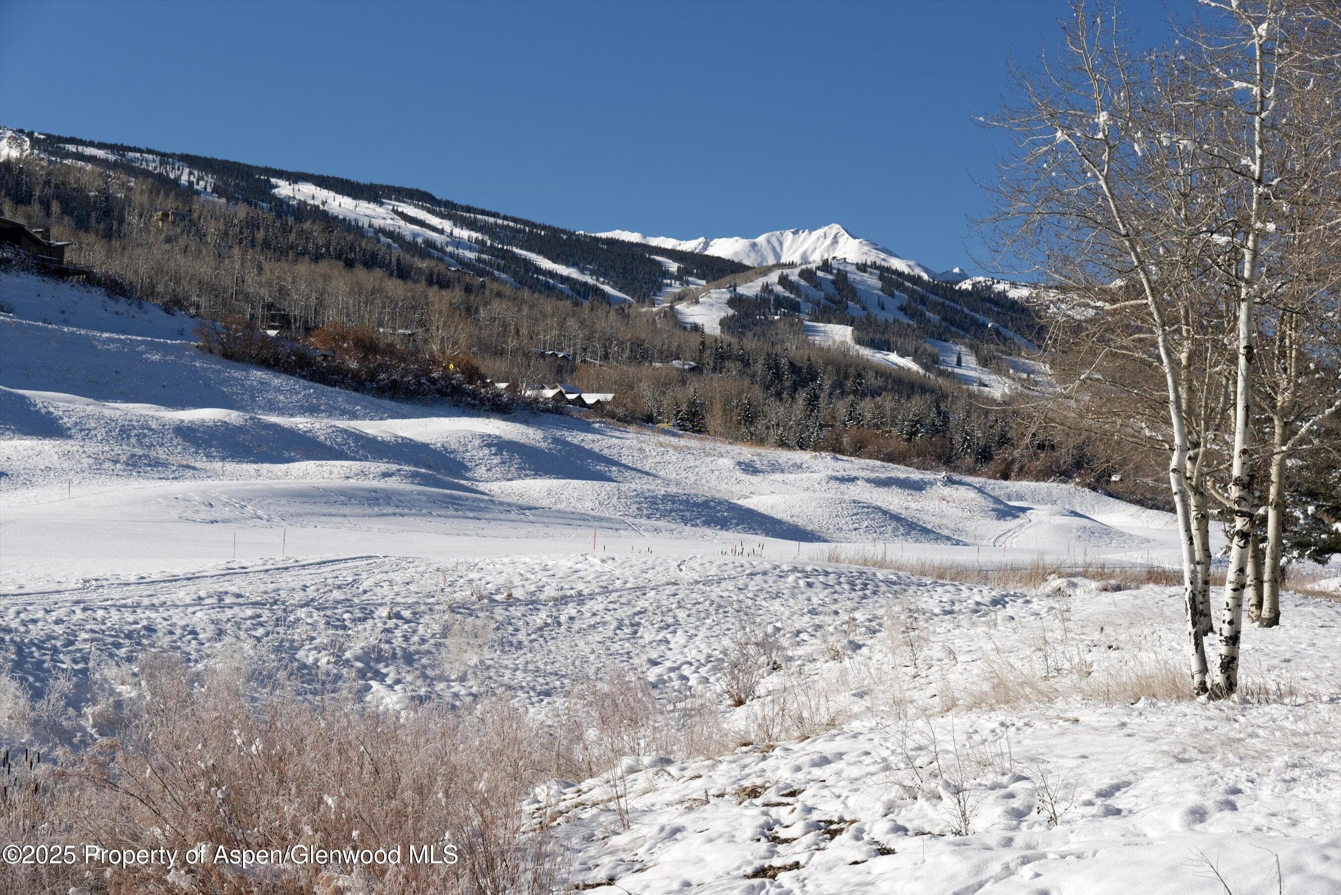 366 Snowmass Club Circle 4, Snowmass Village, CO 81615 - Photo 20