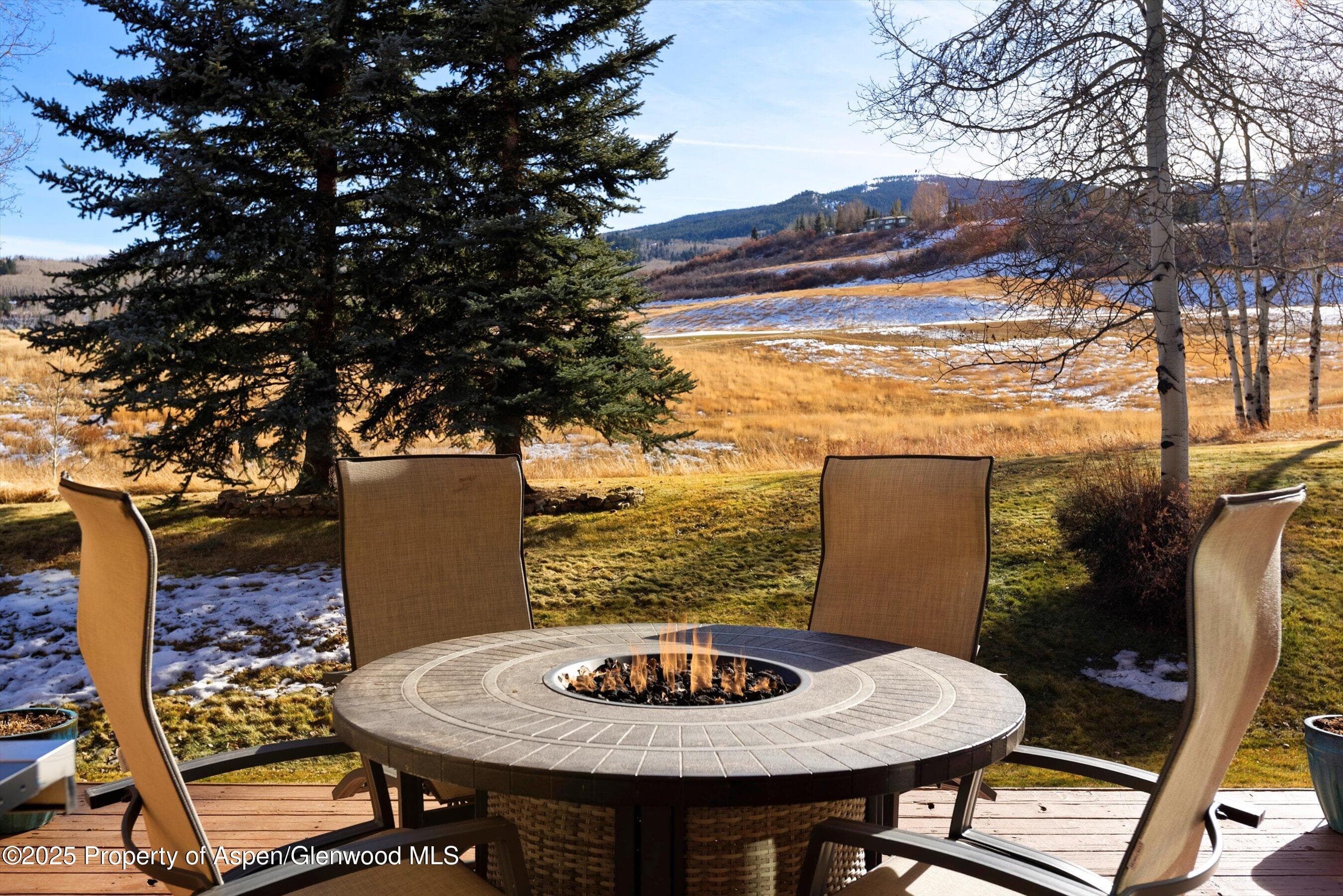 366 Snowmass Club Circle 4, Snowmass Village, CO 81615 - Photo 3