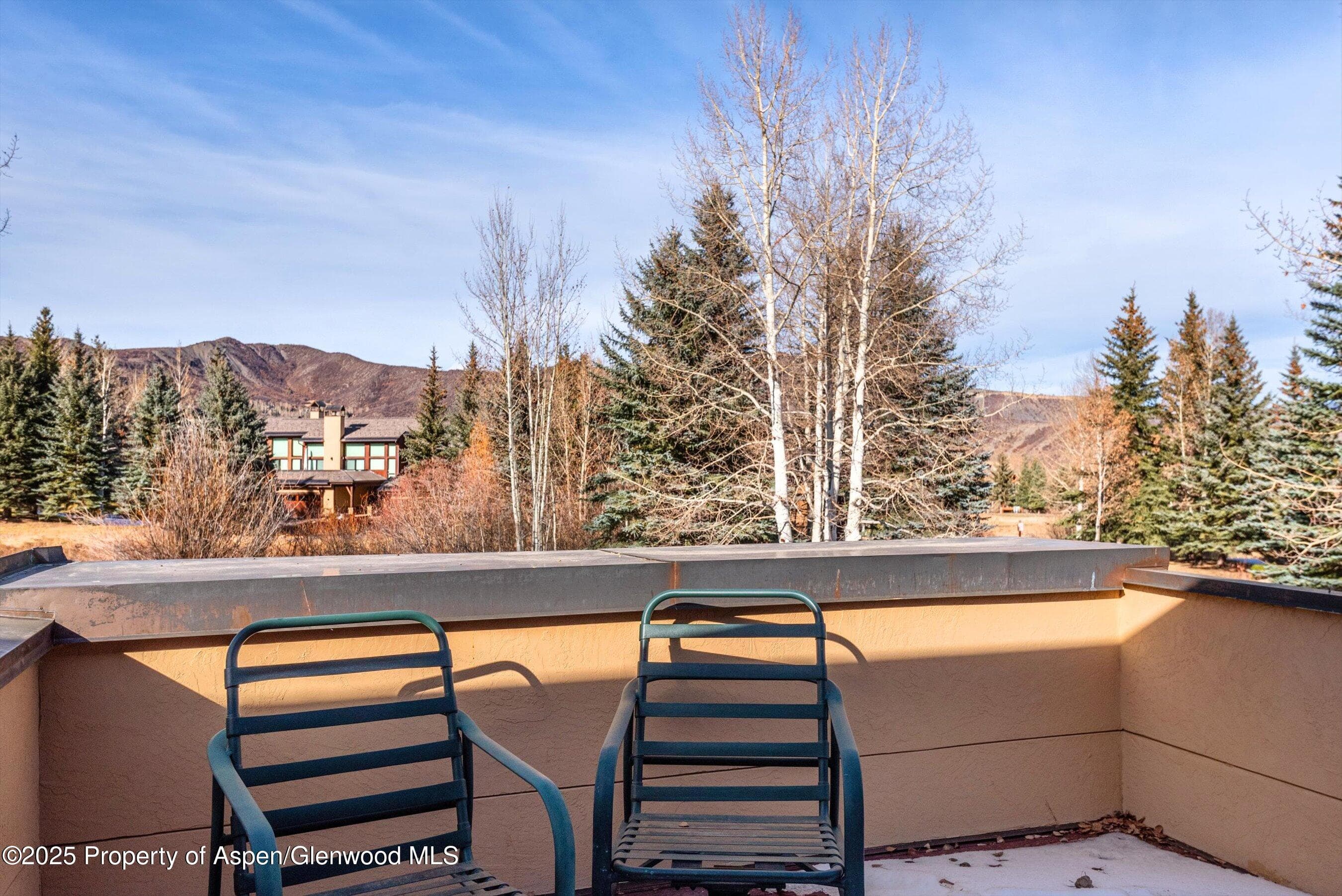 366 Snowmass Club Circle 4, Snowmass Village, CO 81615 - Photo 15