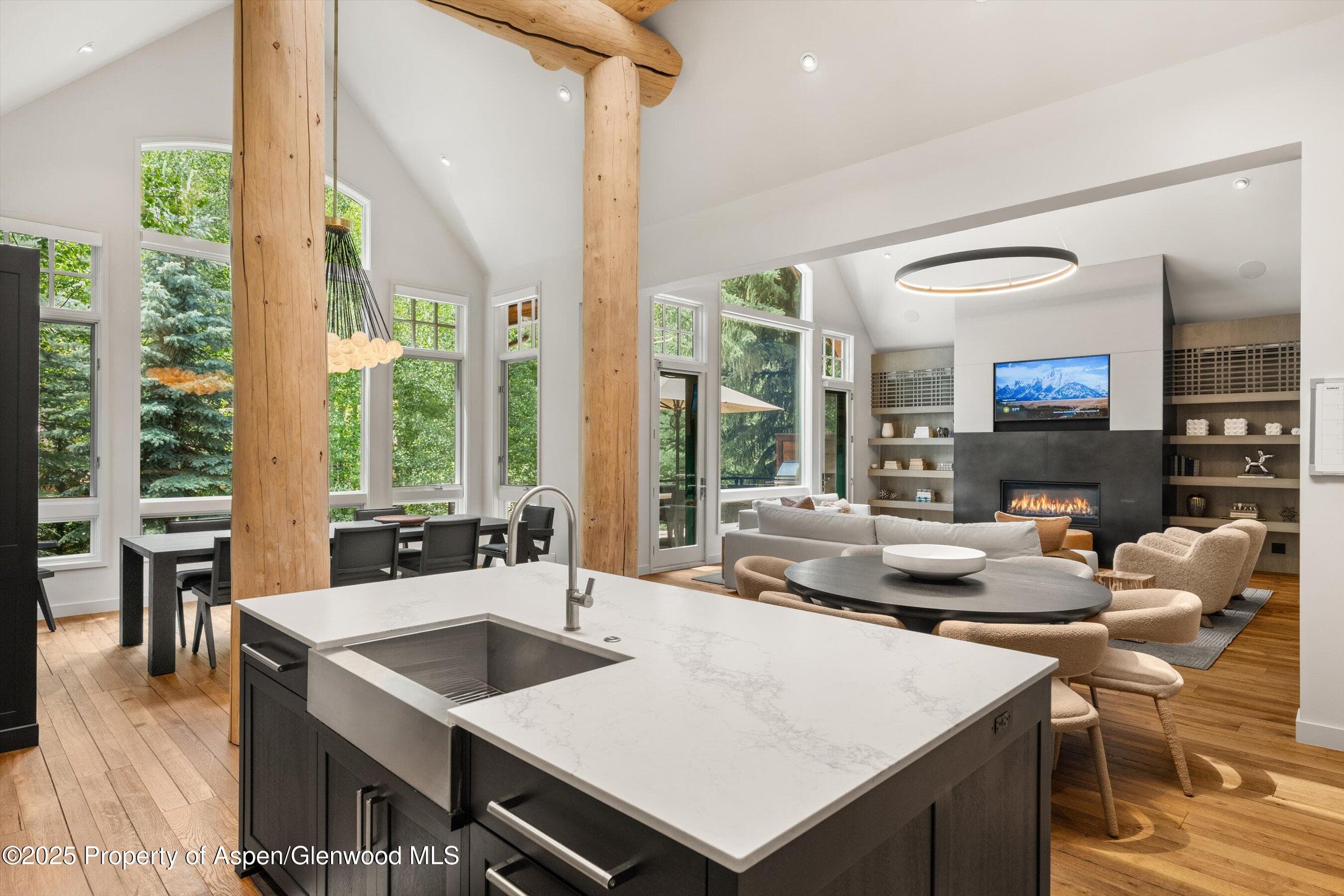 971 Ute Avenue, Aspen, CO 81611 - Photo 12