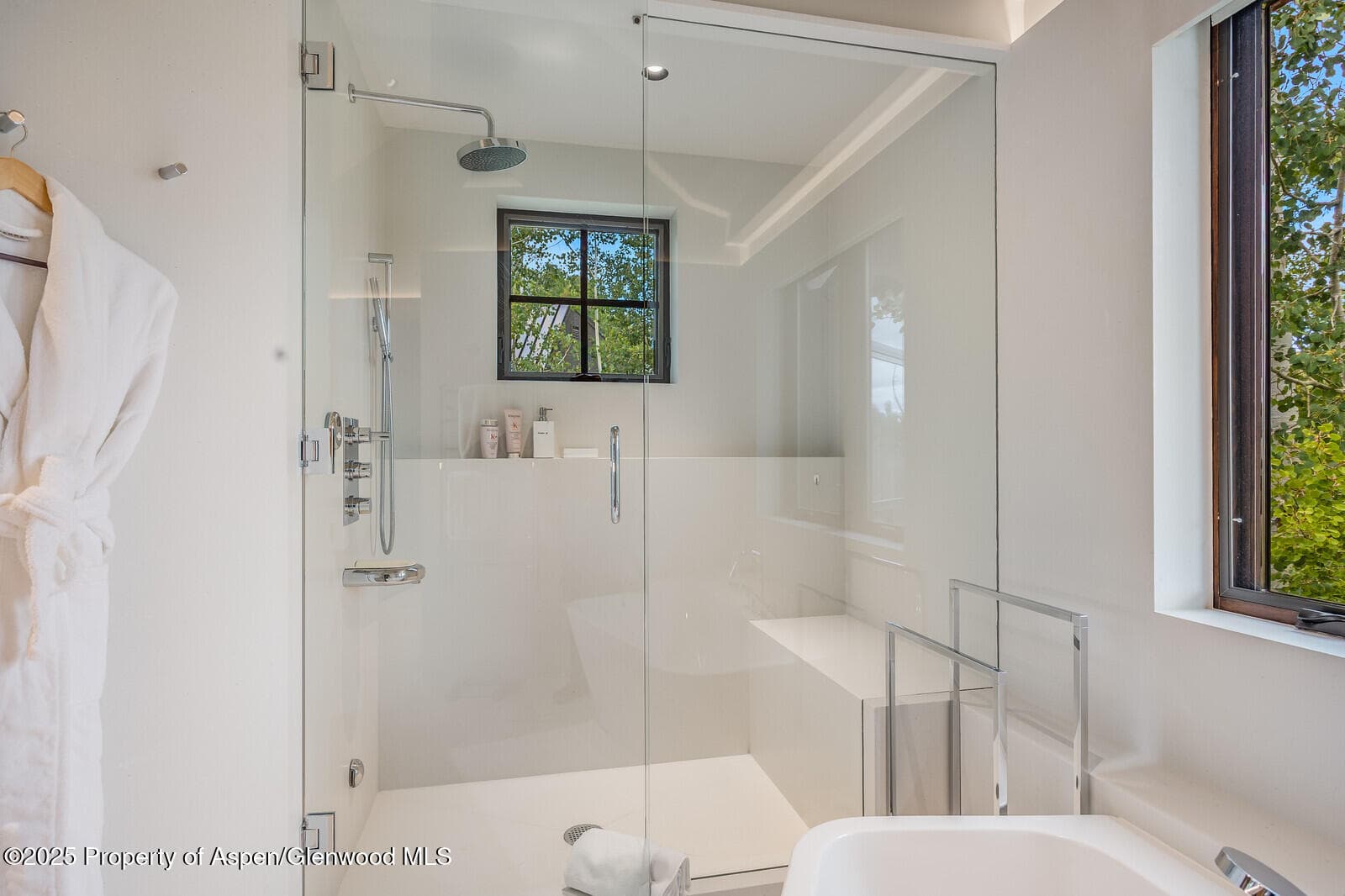 511+563 Edgewood Lane, Snowmass Village, CO 81615 - Photo 19