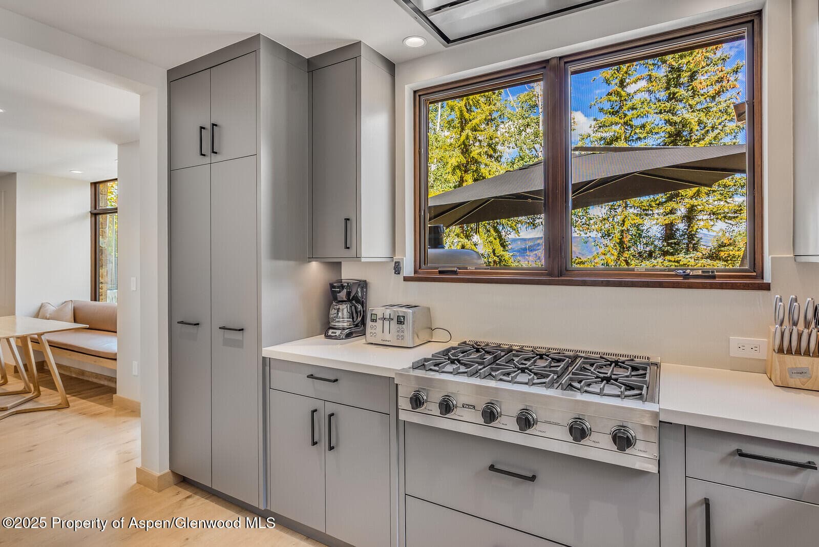 511+563 Edgewood Lane, Snowmass Village, CO 81615 - Photo 62