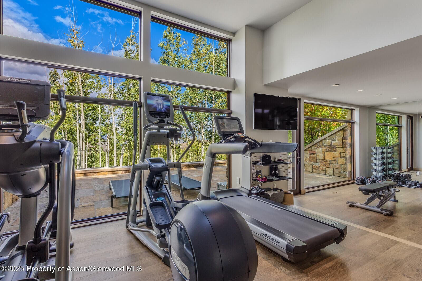 511+563 Edgewood Lane, Snowmass Village, CO 81615 - Photo 55
