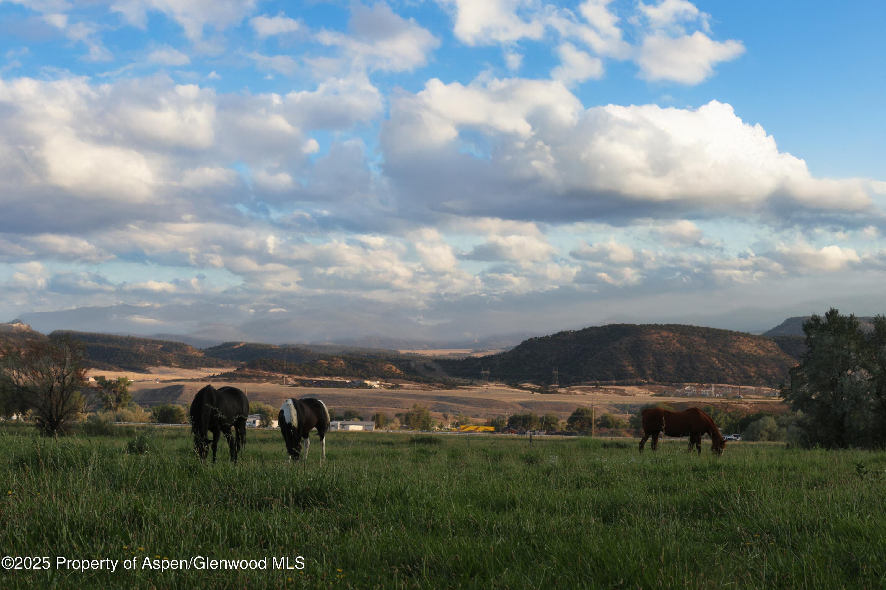 1840 County Road 210, Rifle, CO 81650 - Photo 28