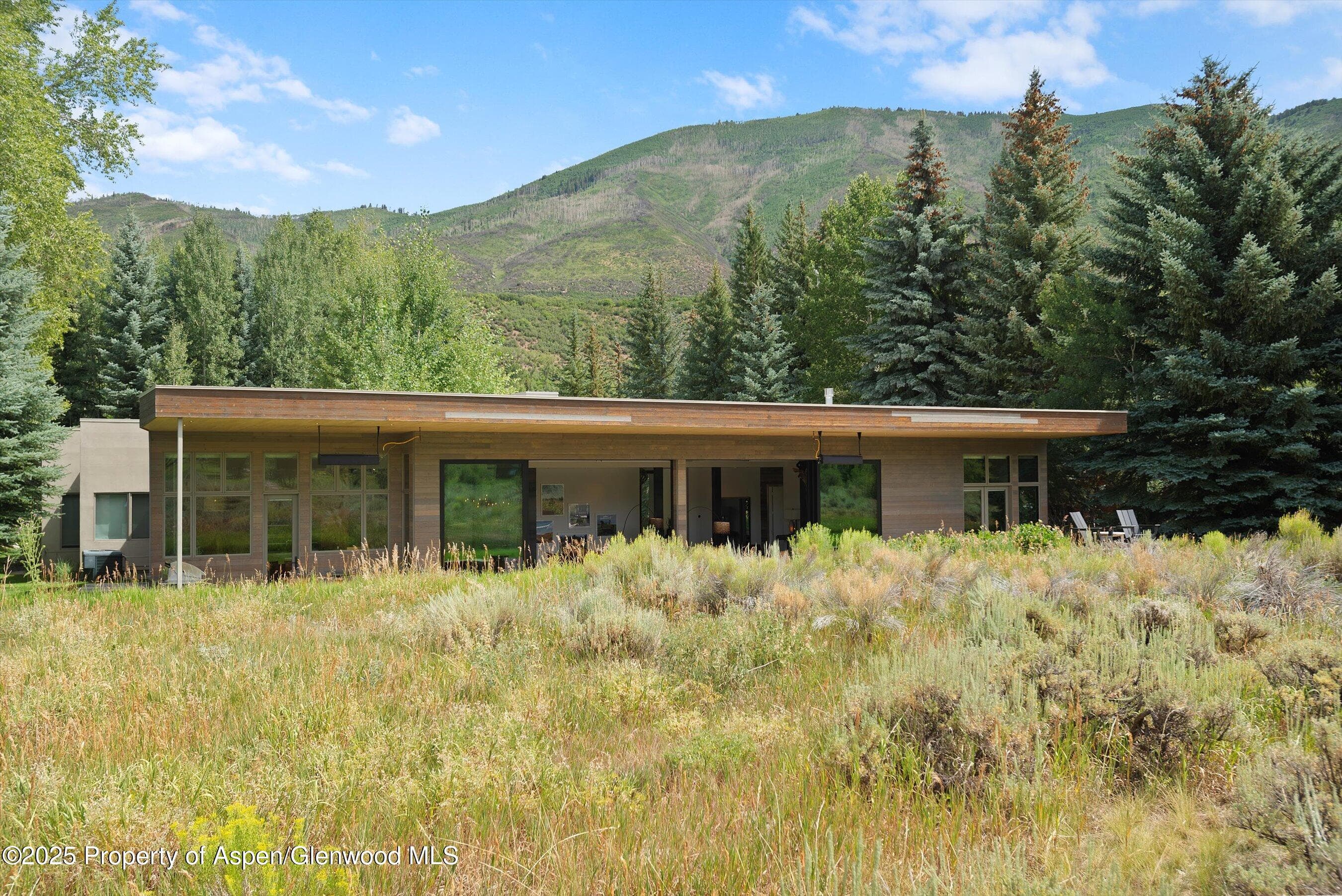 75 Overlook Drive, Aspen, CO 81611 - Photo 3
