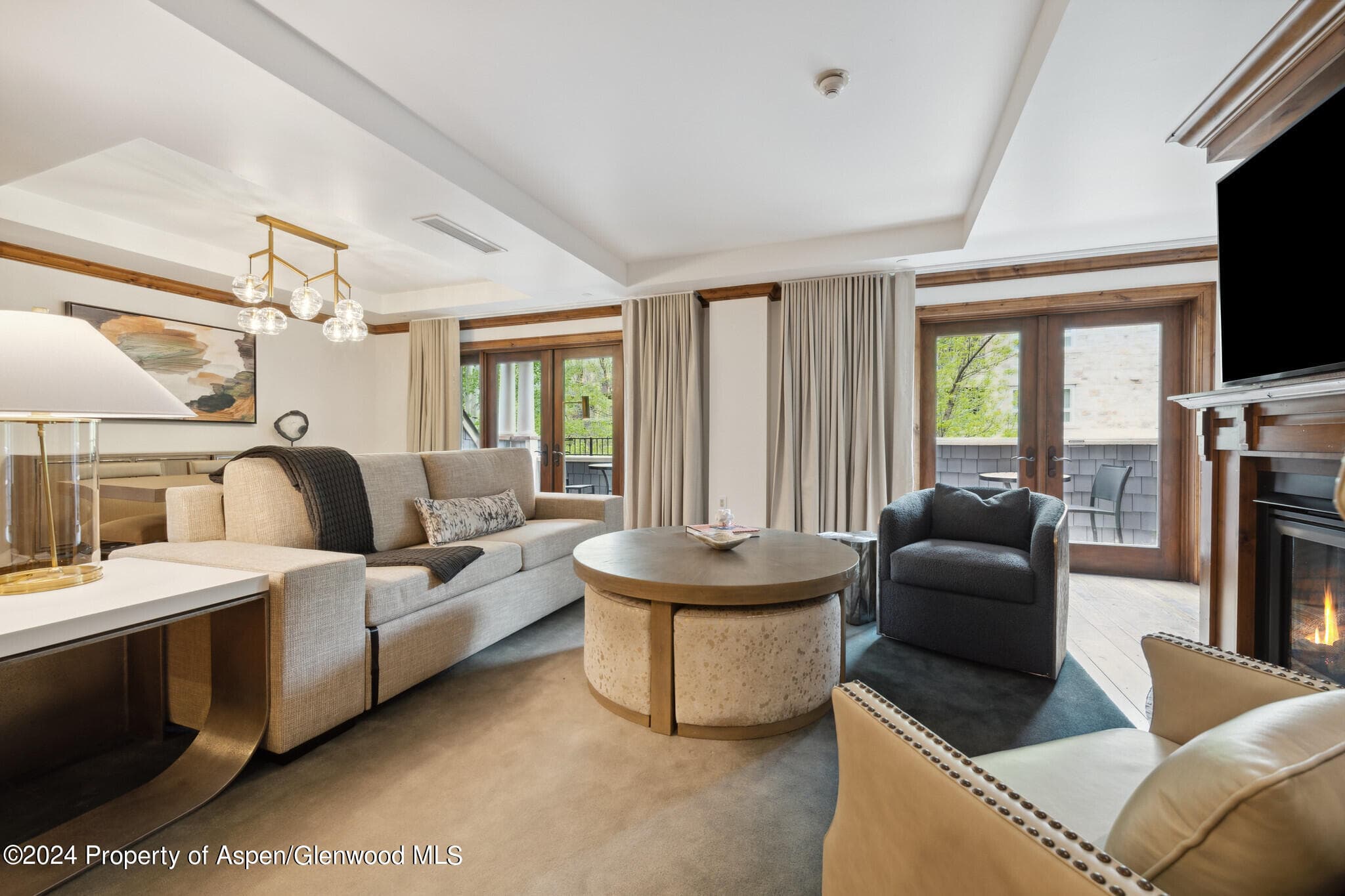 415 E Dean St, Unit 17, Weeks 5&6 Street, Aspen, CO 81611 - Photo 4