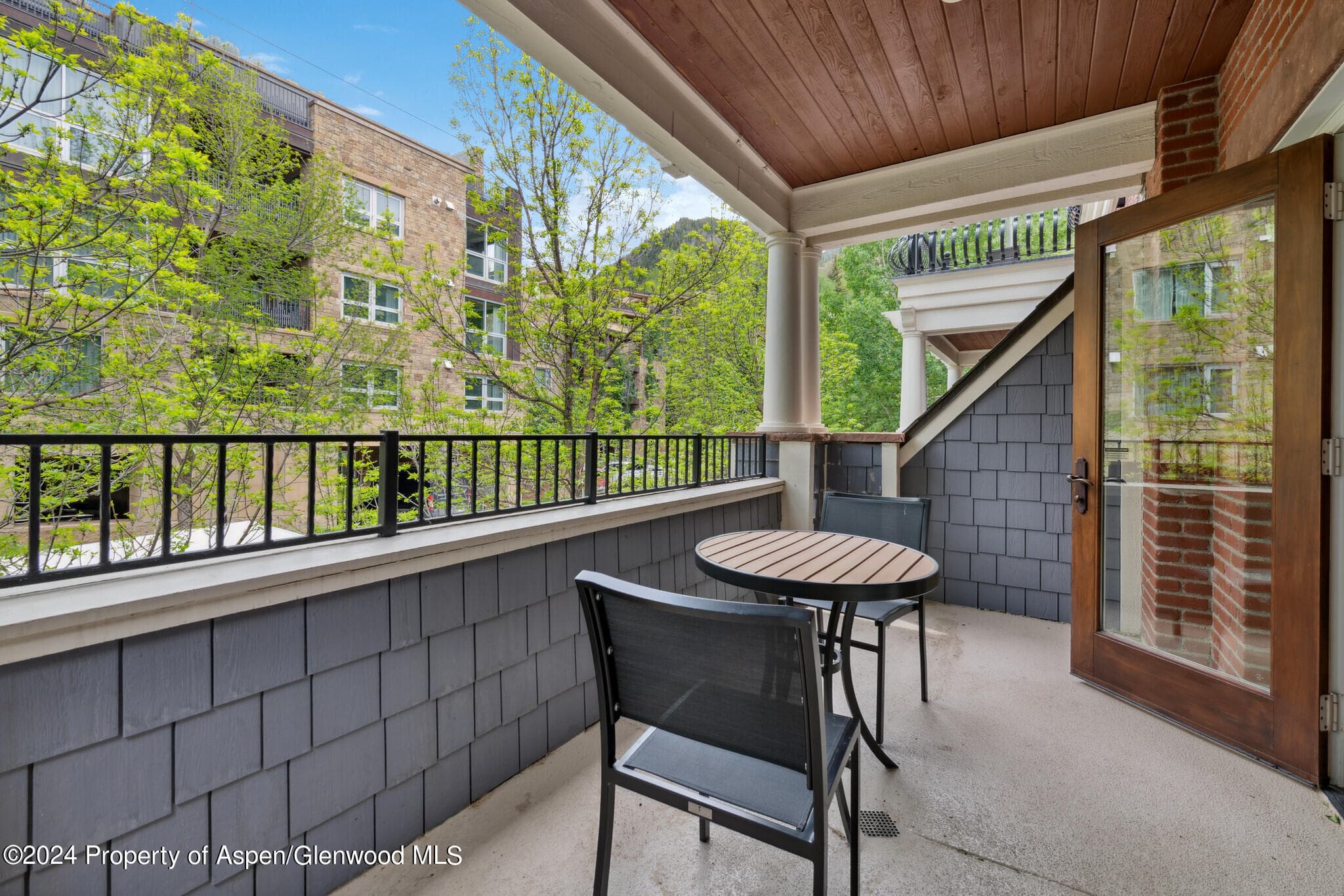 415 E Dean St, Unit 17, Weeks 5&6 Street, Aspen, CO 81611 - Photo 11