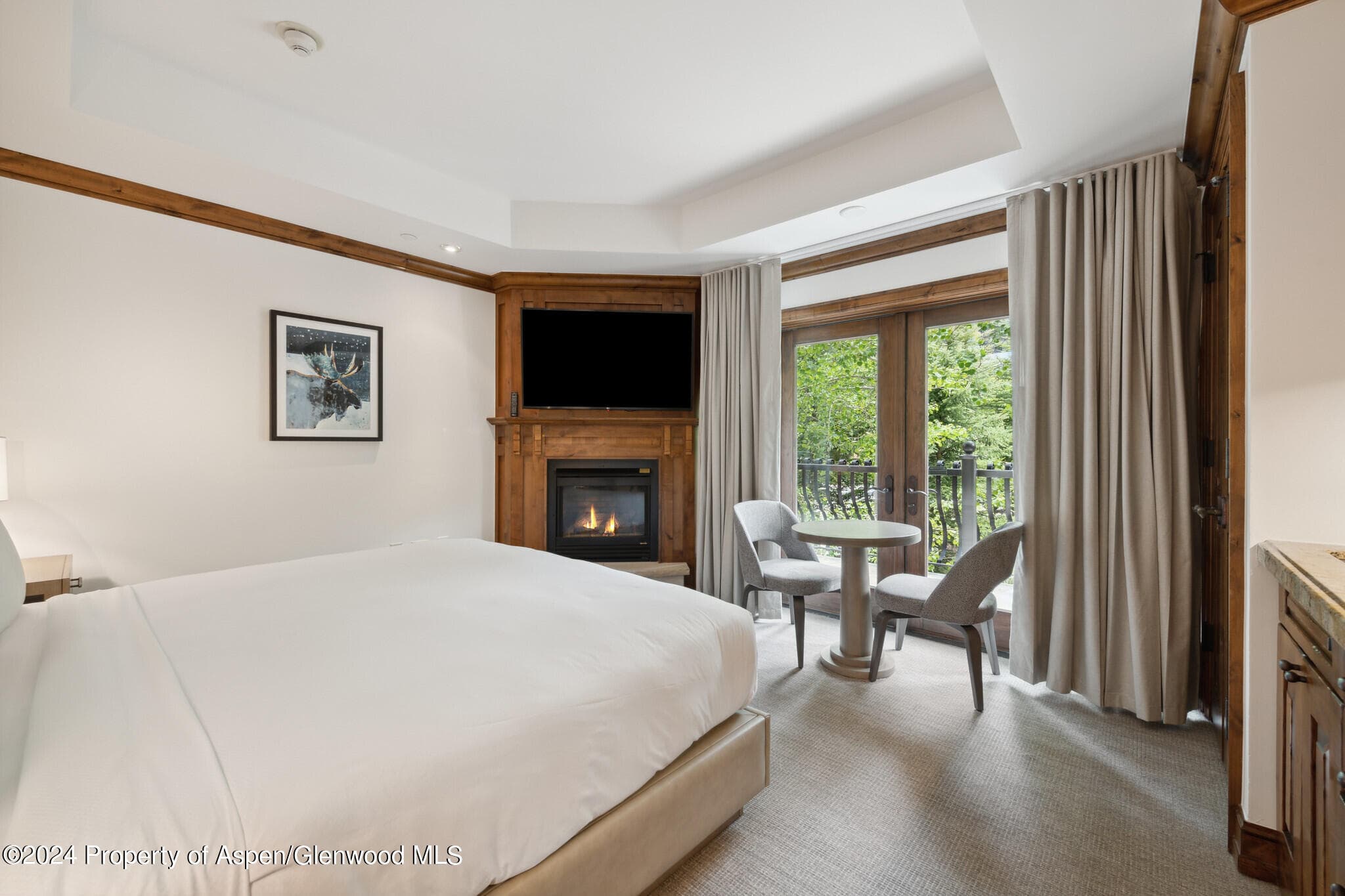 415 E Dean St, Unit 17, Weeks 5&6 Street, Aspen, CO 81611 - Photo 22