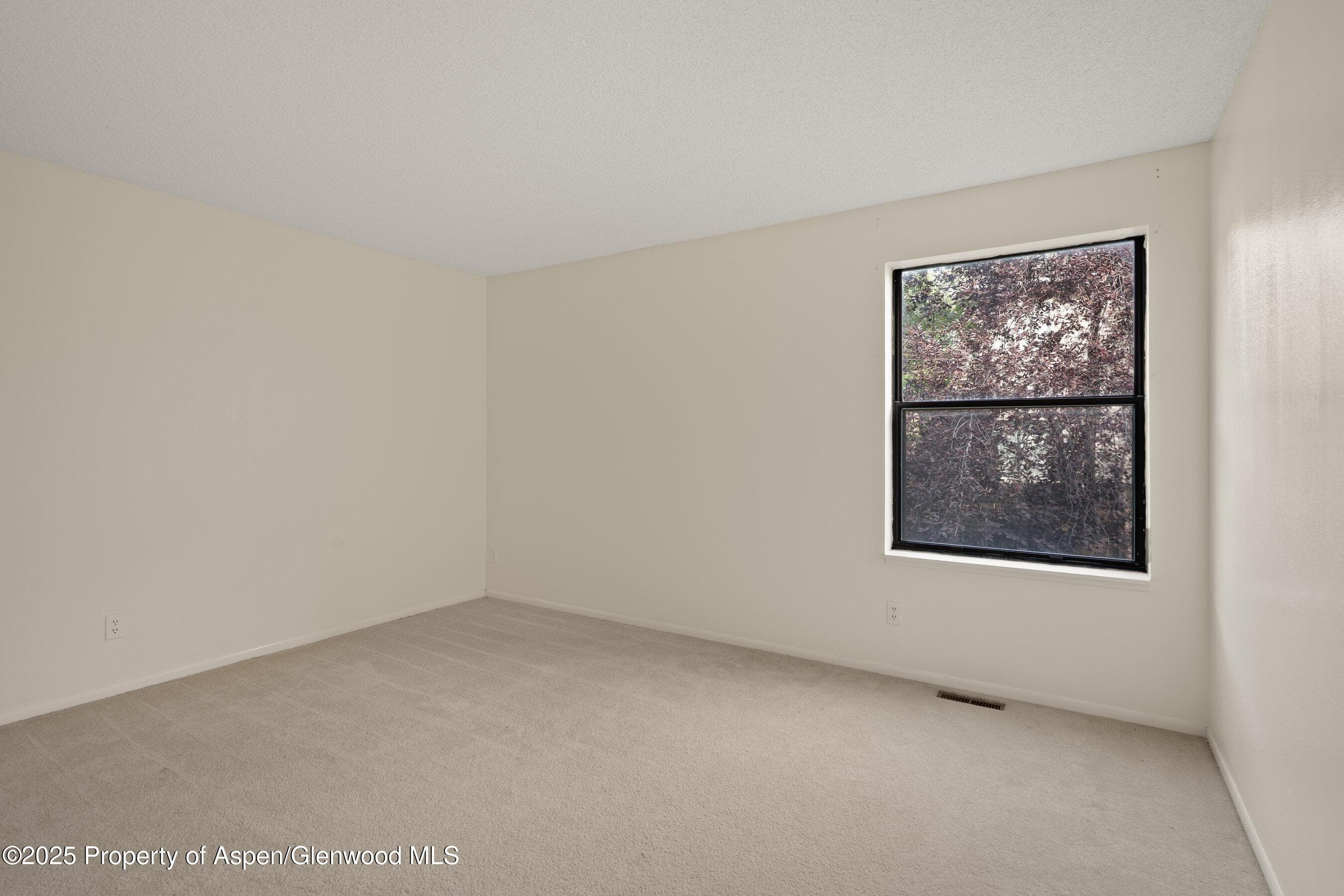 3800 Old Lodge Road A4, Glenwood Springs, CO 81601 - Photo 9