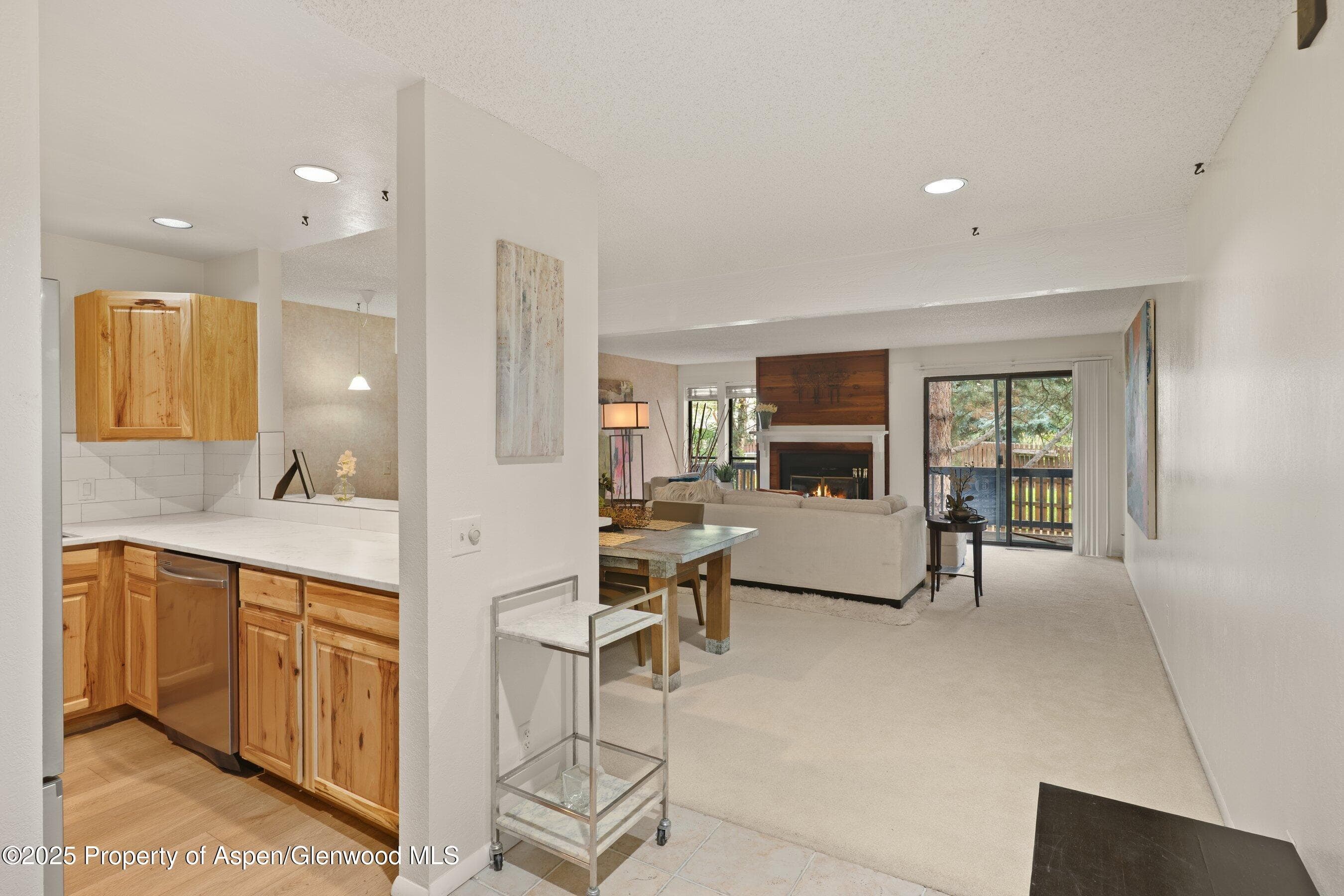 3800 Old Lodge Road A4, Glenwood Springs, CO 81601 - Photo 6