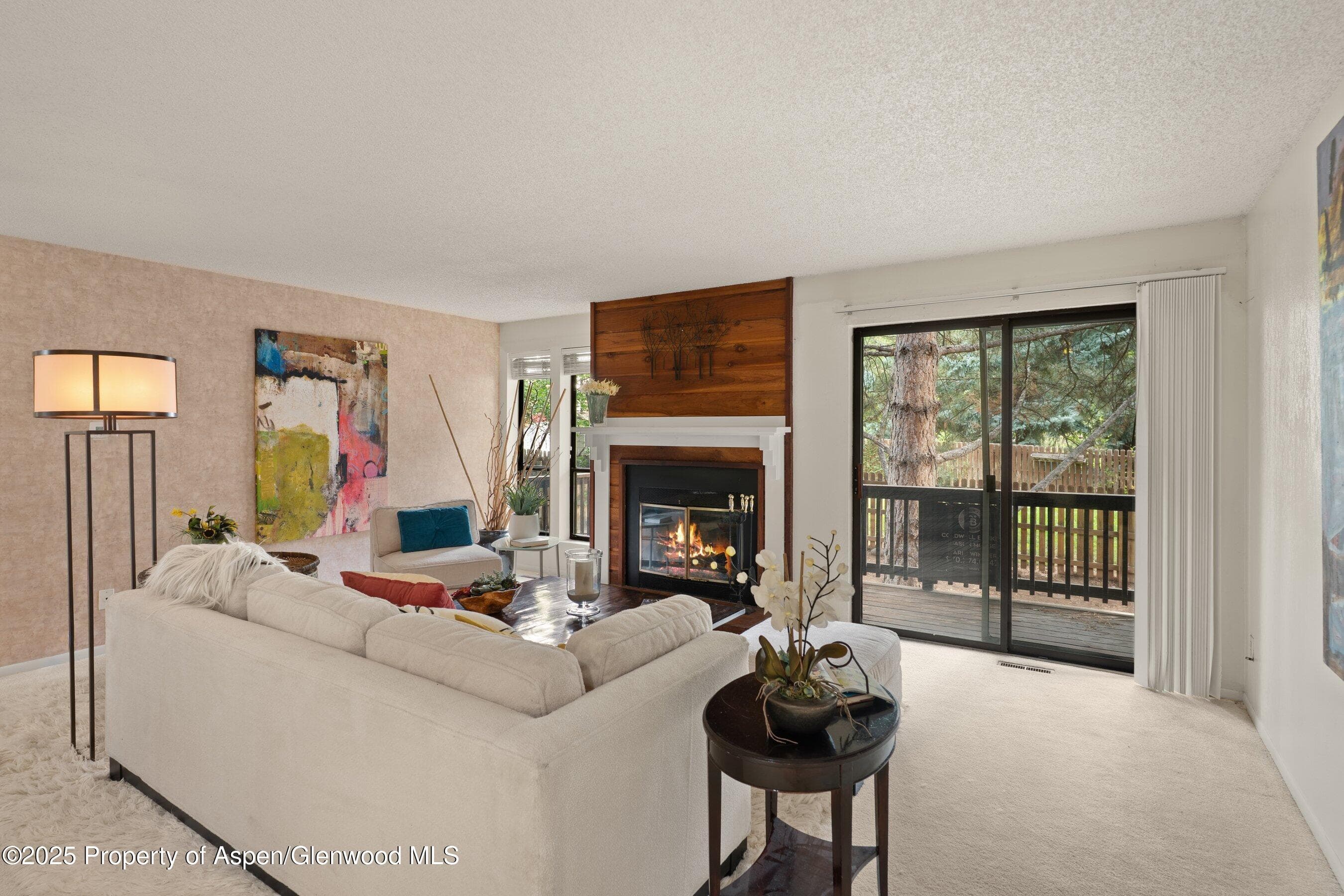 3800 Old Lodge Road A4, Glenwood Springs, CO 81601 - Photo 7