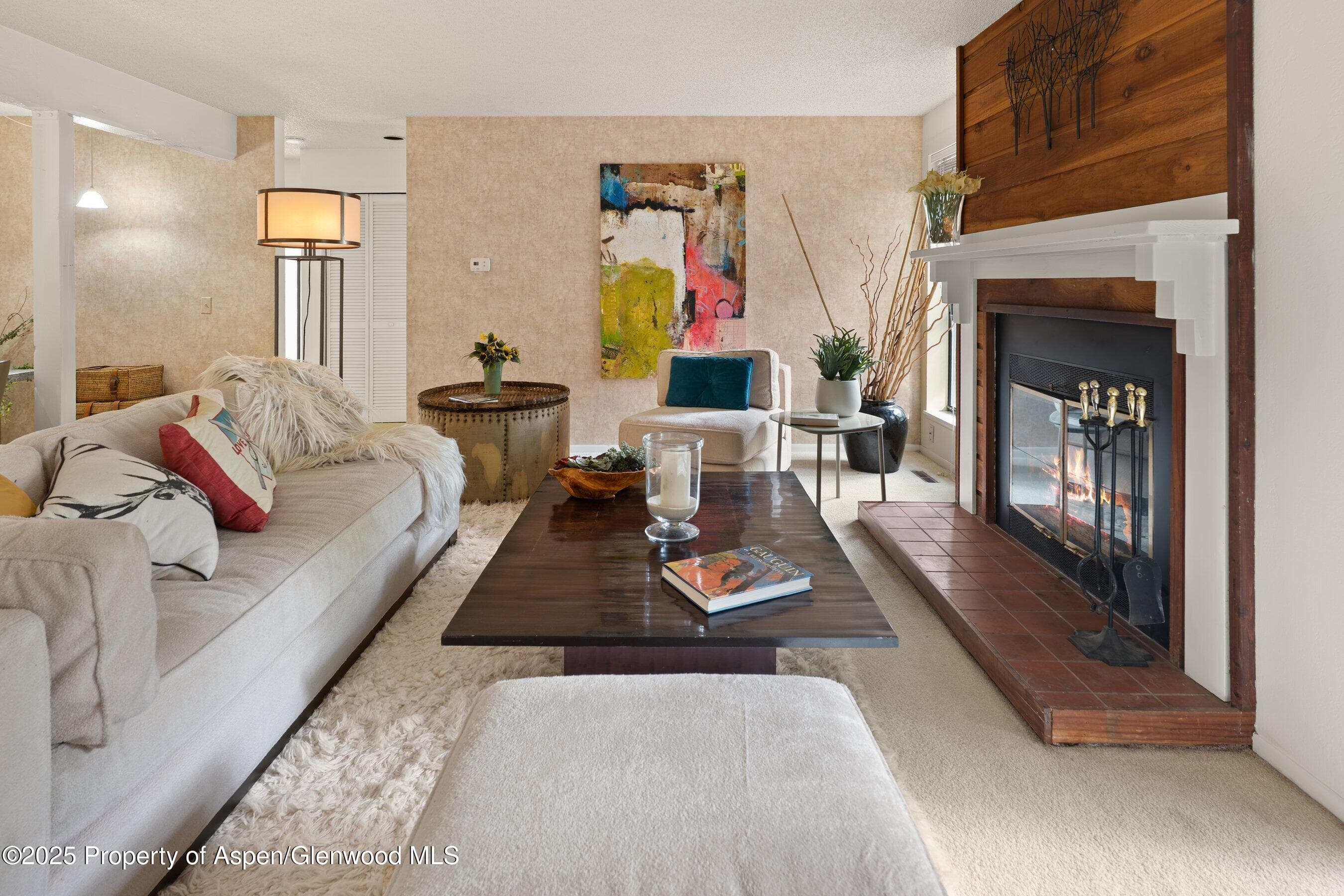 3800 Old Lodge Road A4, Glenwood Springs, CO 81601 - Photo 8