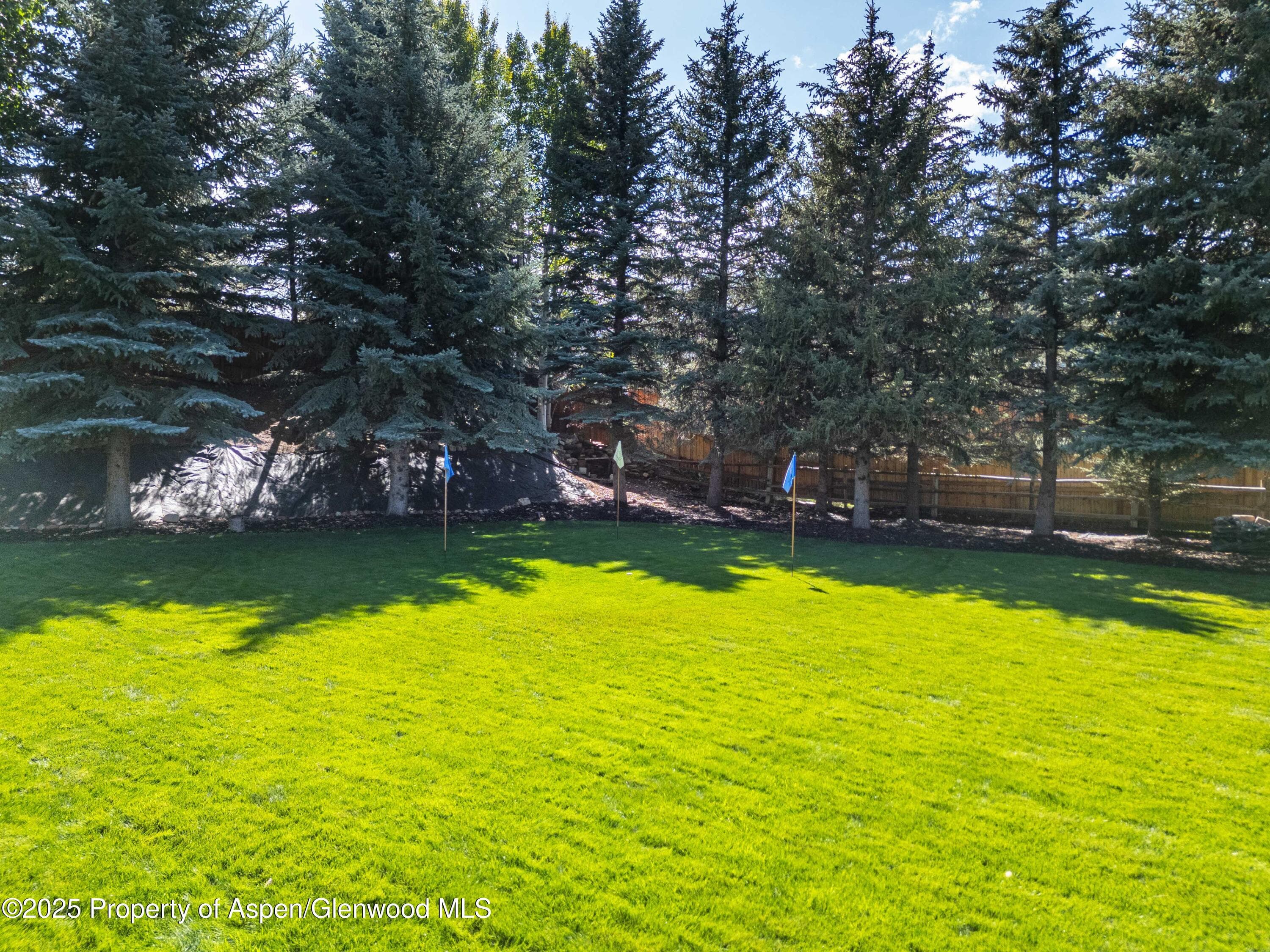 1637 Emma Spur Road, Basalt, CO 81621 - Photo 47