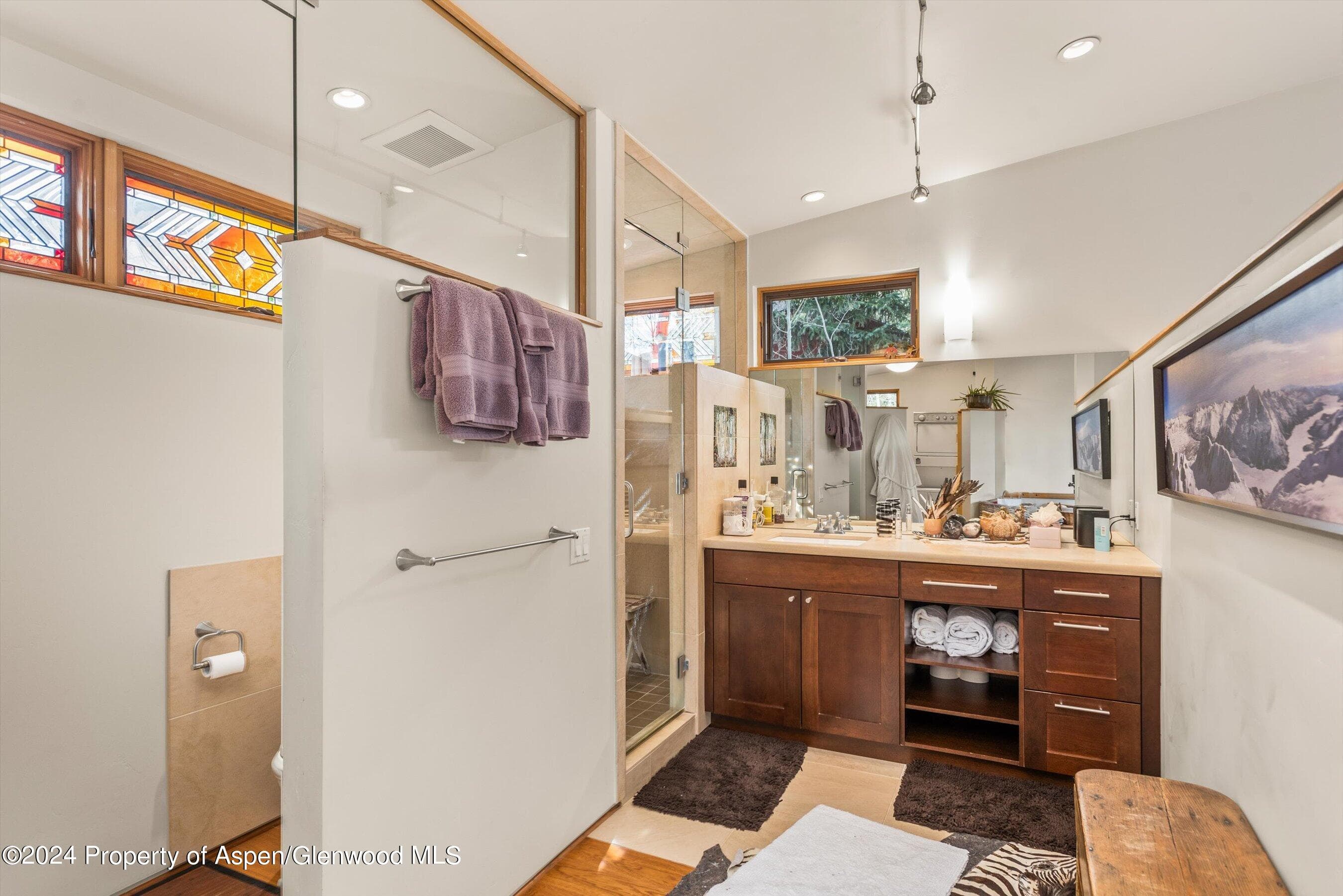 308 Park Avenue, Aspen, CO 81611 - Photo 8