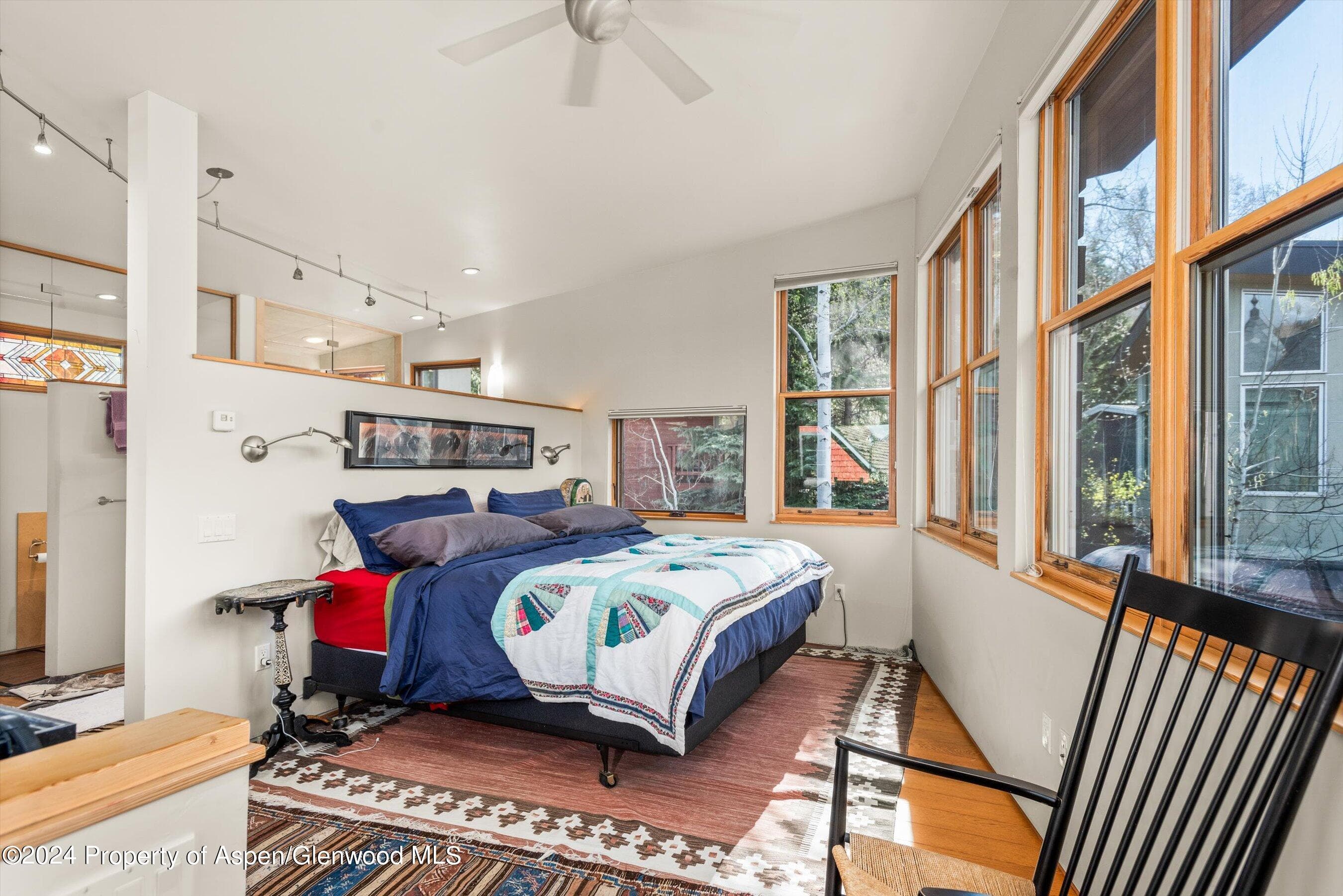308 Park Avenue, Aspen, CO 81611 - Photo 10
