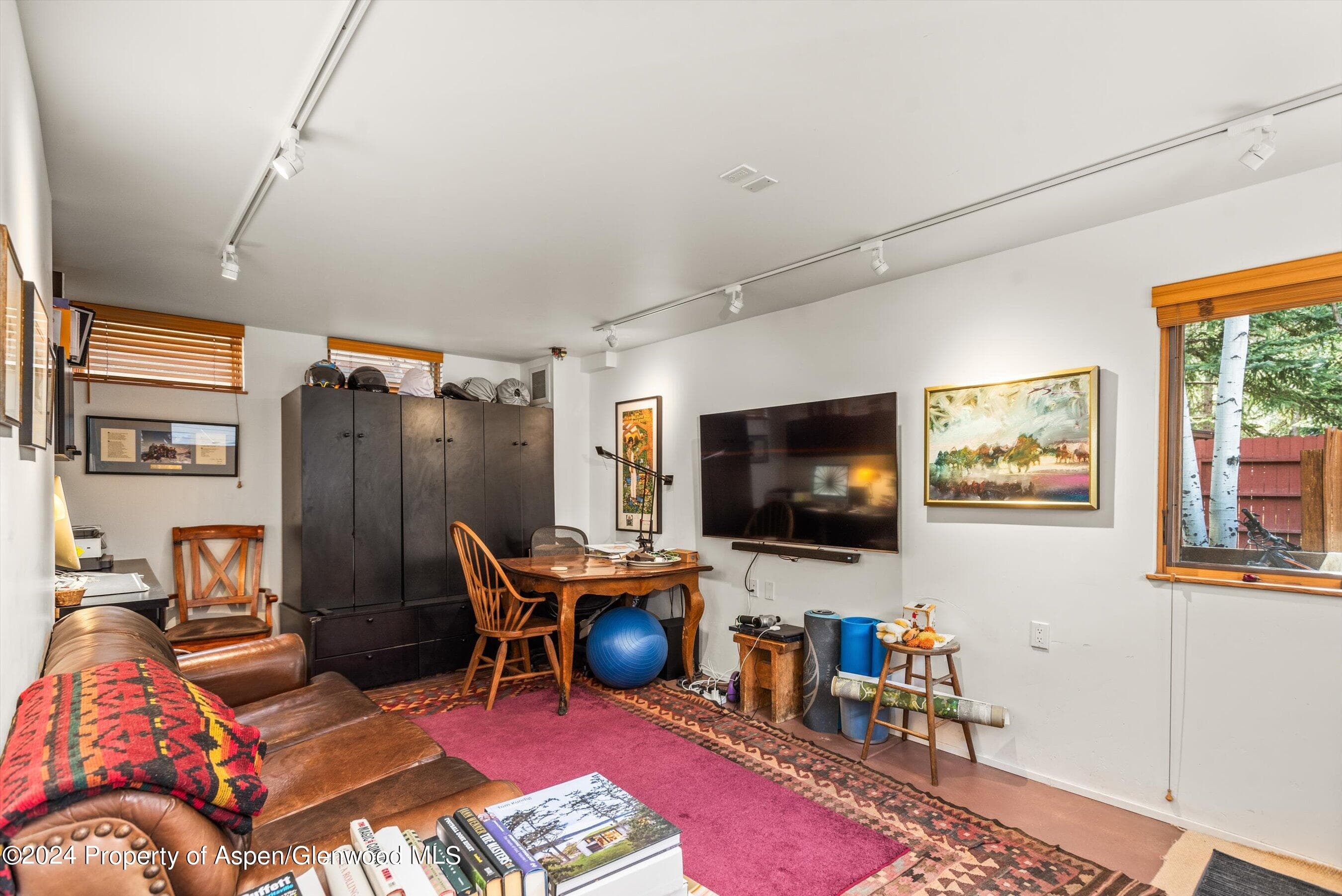 308 Park Avenue, Aspen, CO 81611 - Photo 22