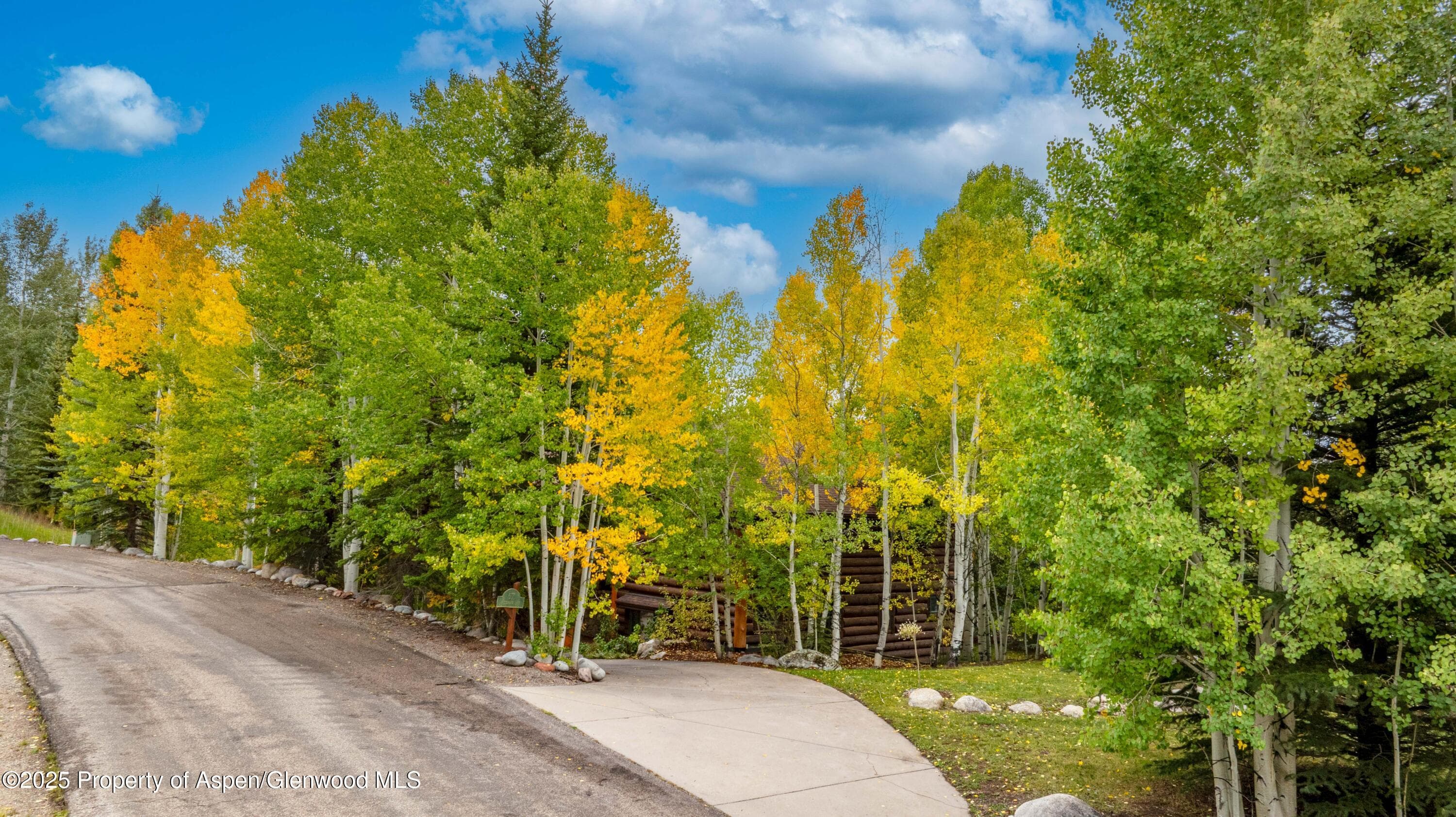 57 Saddleback Lane, Snowmass Village, CO 81615 - Photo 79