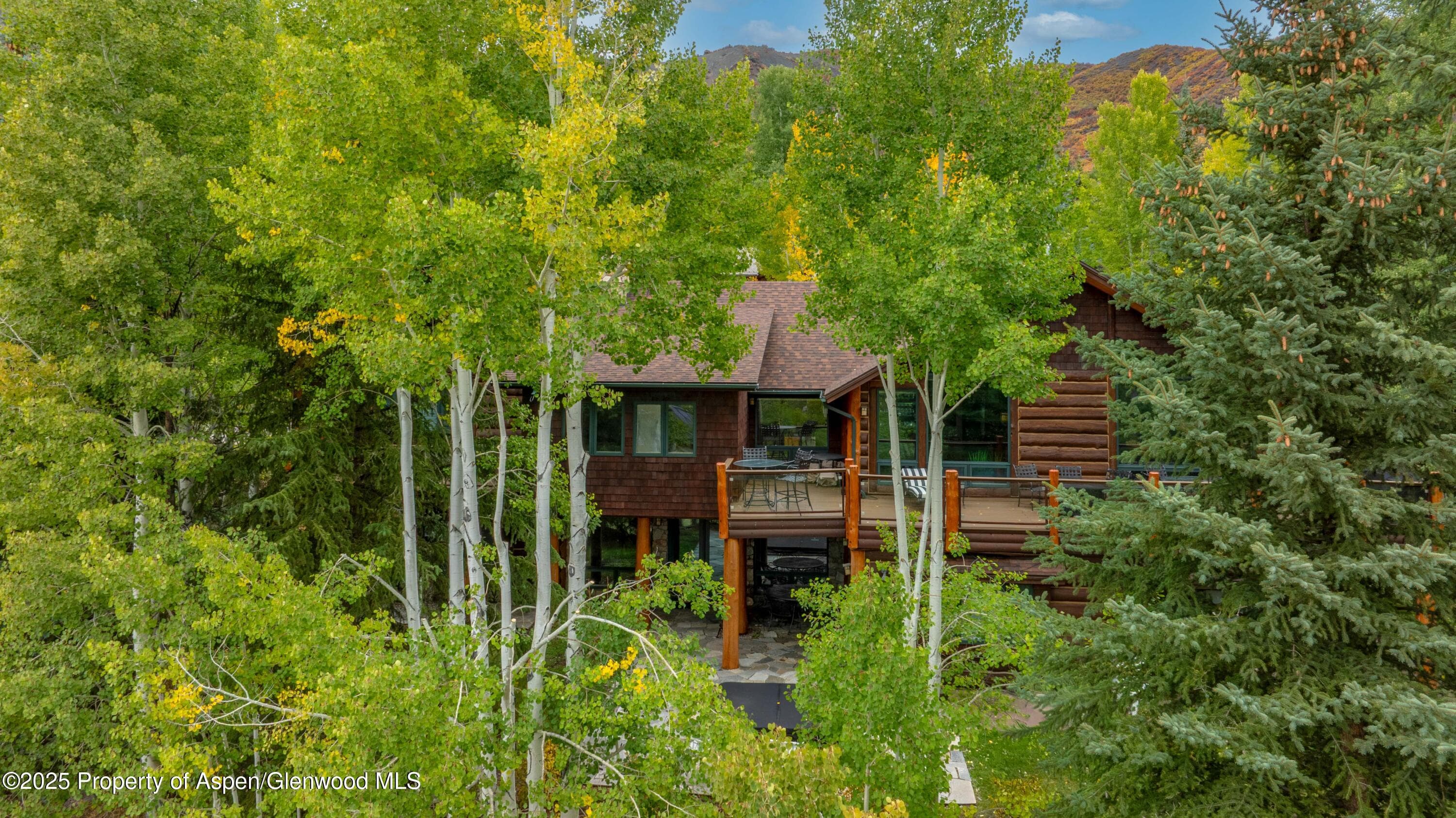 57 Saddleback Lane, Snowmass Village, CO 81615 - Photo 82