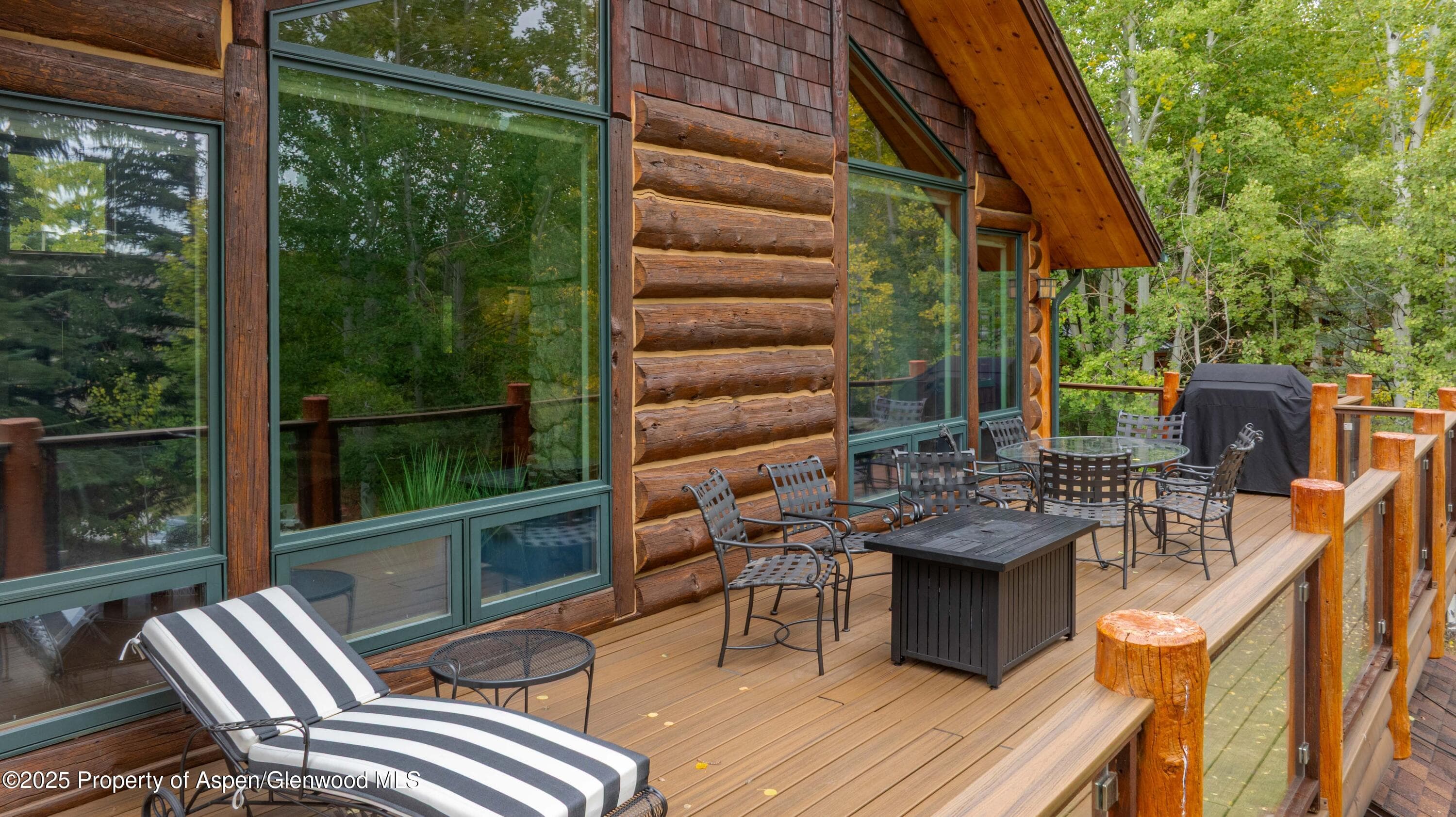 57 Saddleback Lane, Snowmass Village, CO 81615 - Photo 85